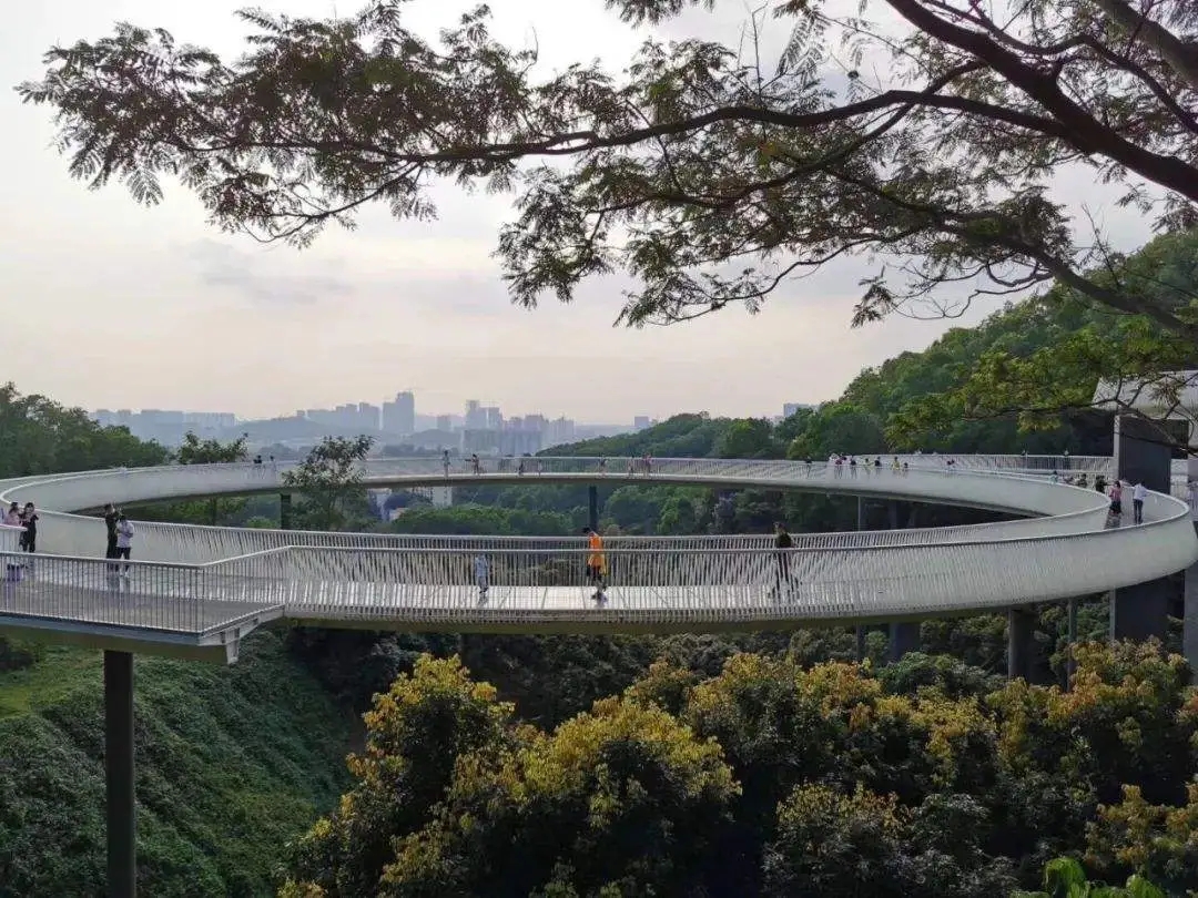 2020,9,6深圳光明玻璃桥1日游