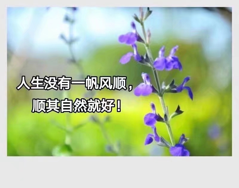 人生没有一帆风顺的,顺其自然就好.