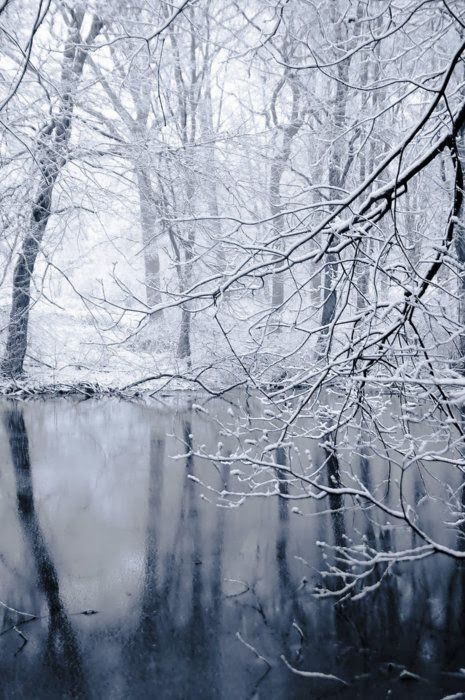 色彩魅力之/深白色(dark white)