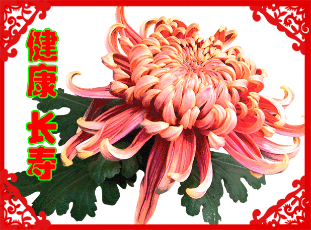 祝张银芝老师生日快乐