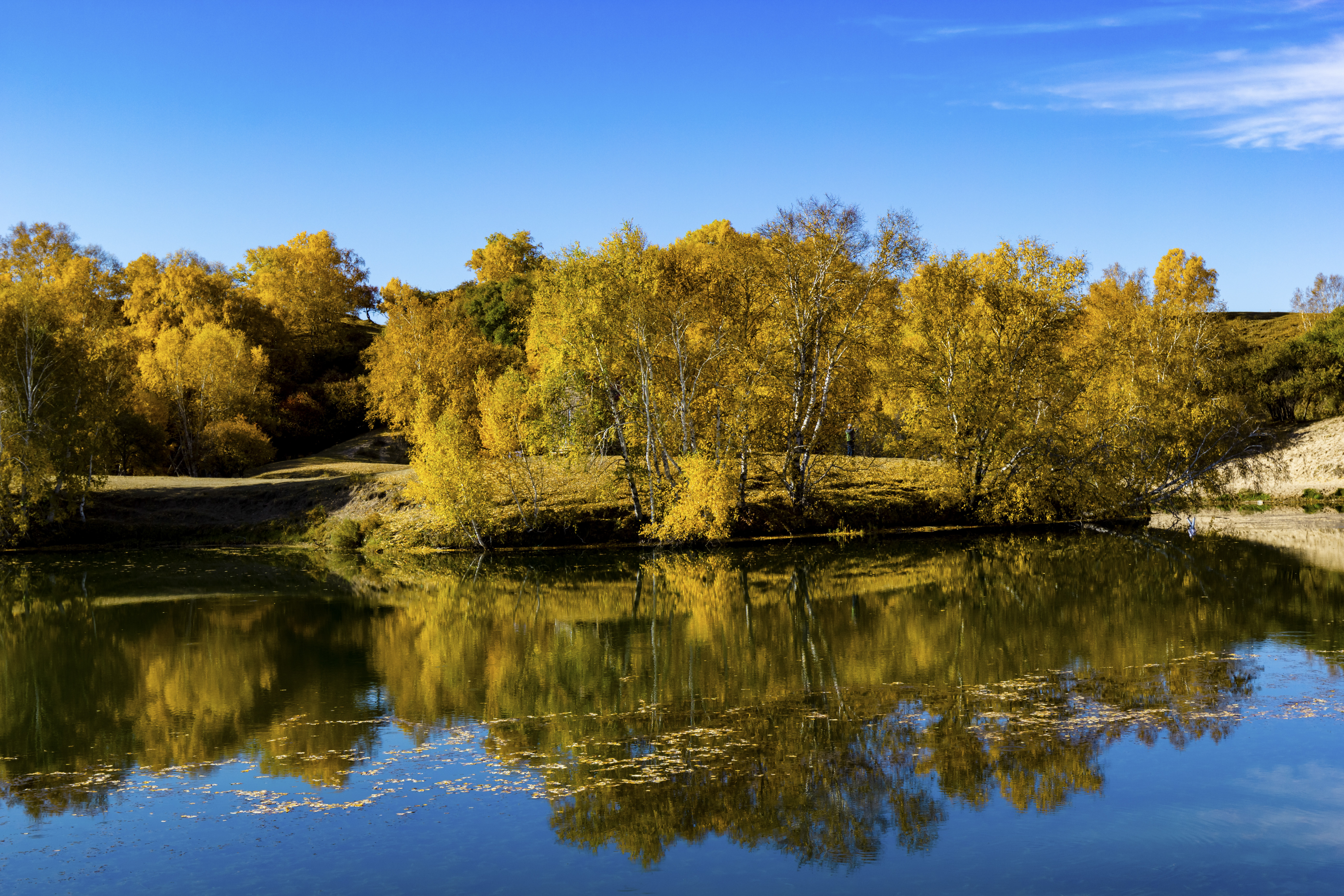 金秋漫步公主湖