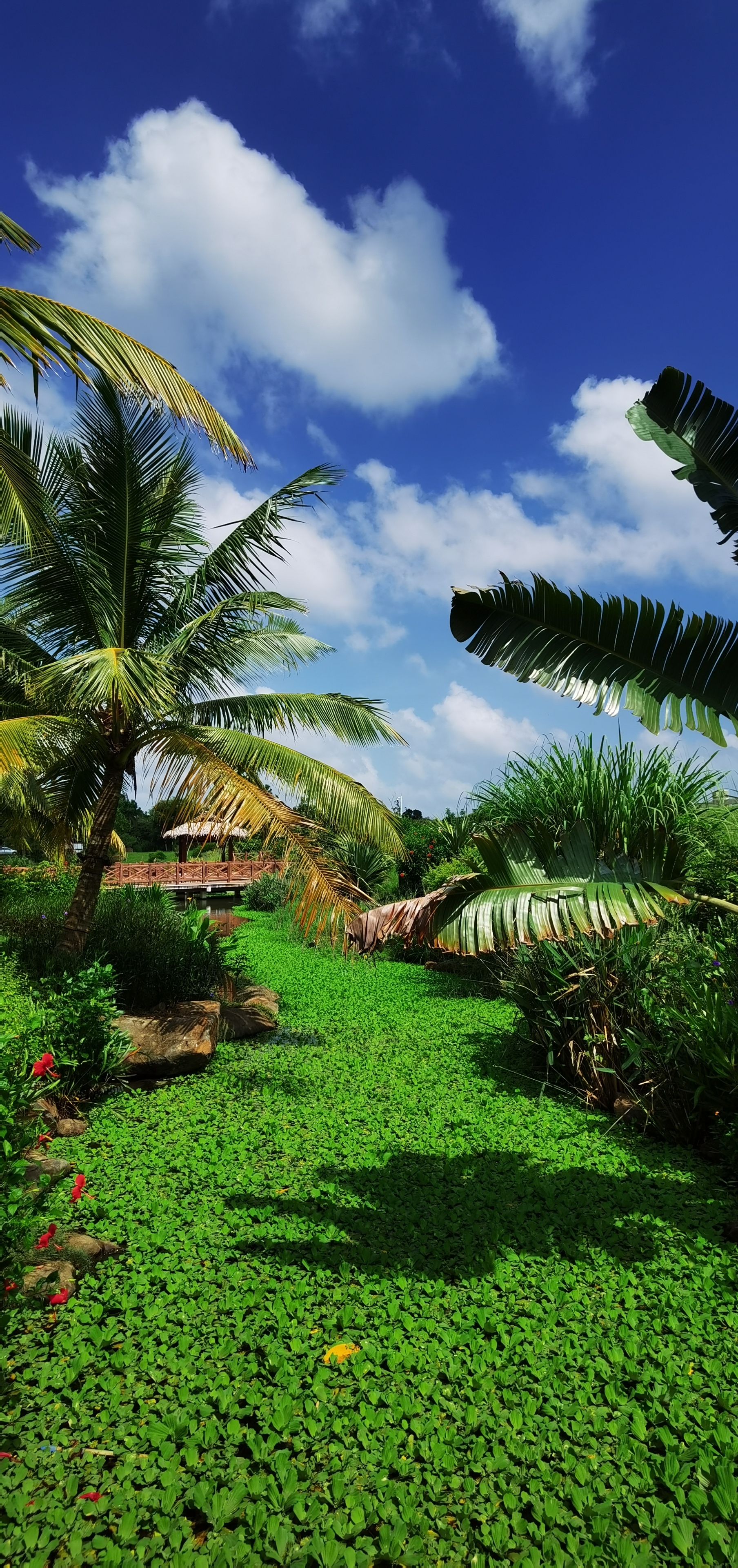 海南美丽乡村沙美村
