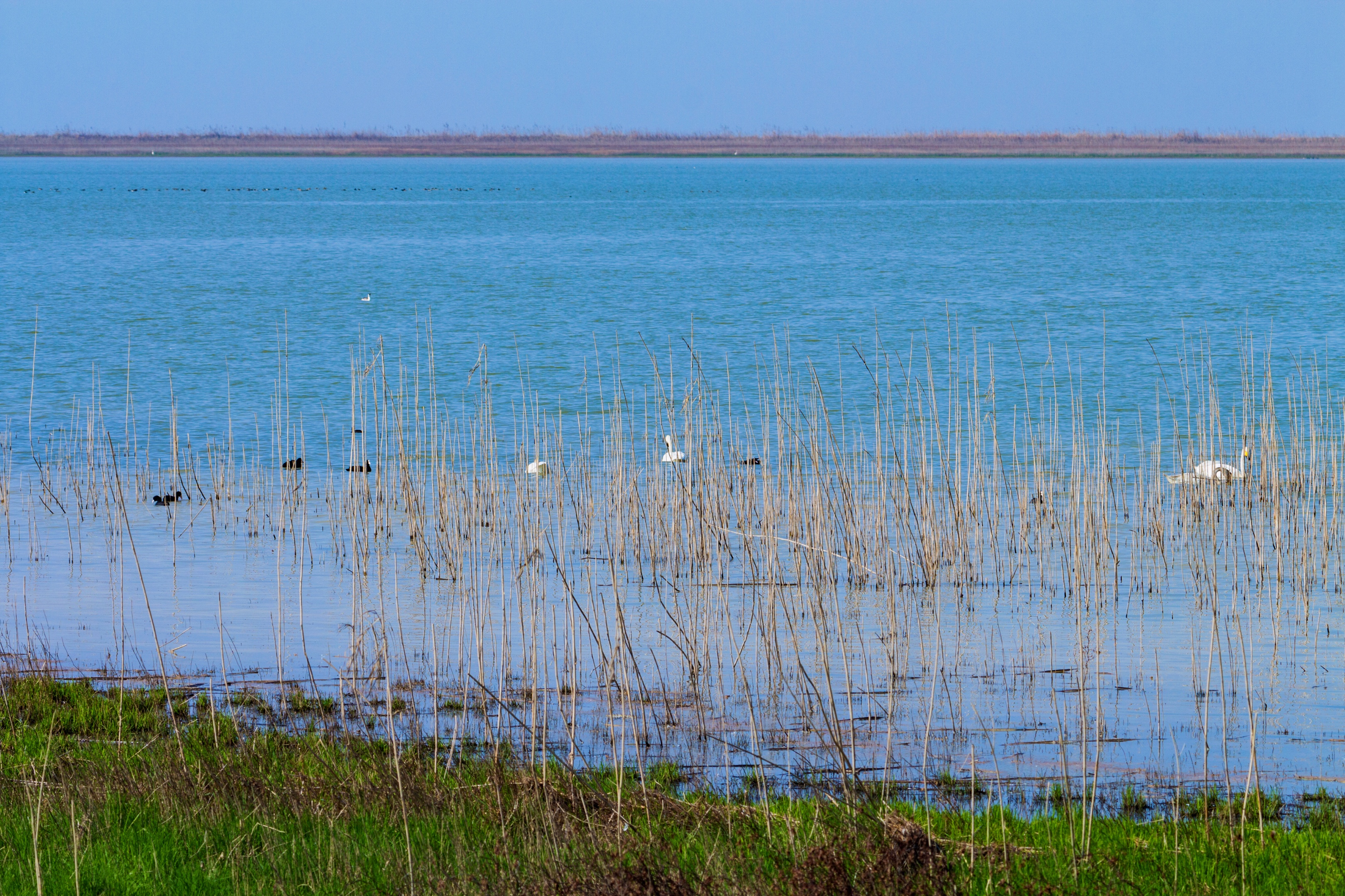 初入南矶山候鸟保护区【首发】