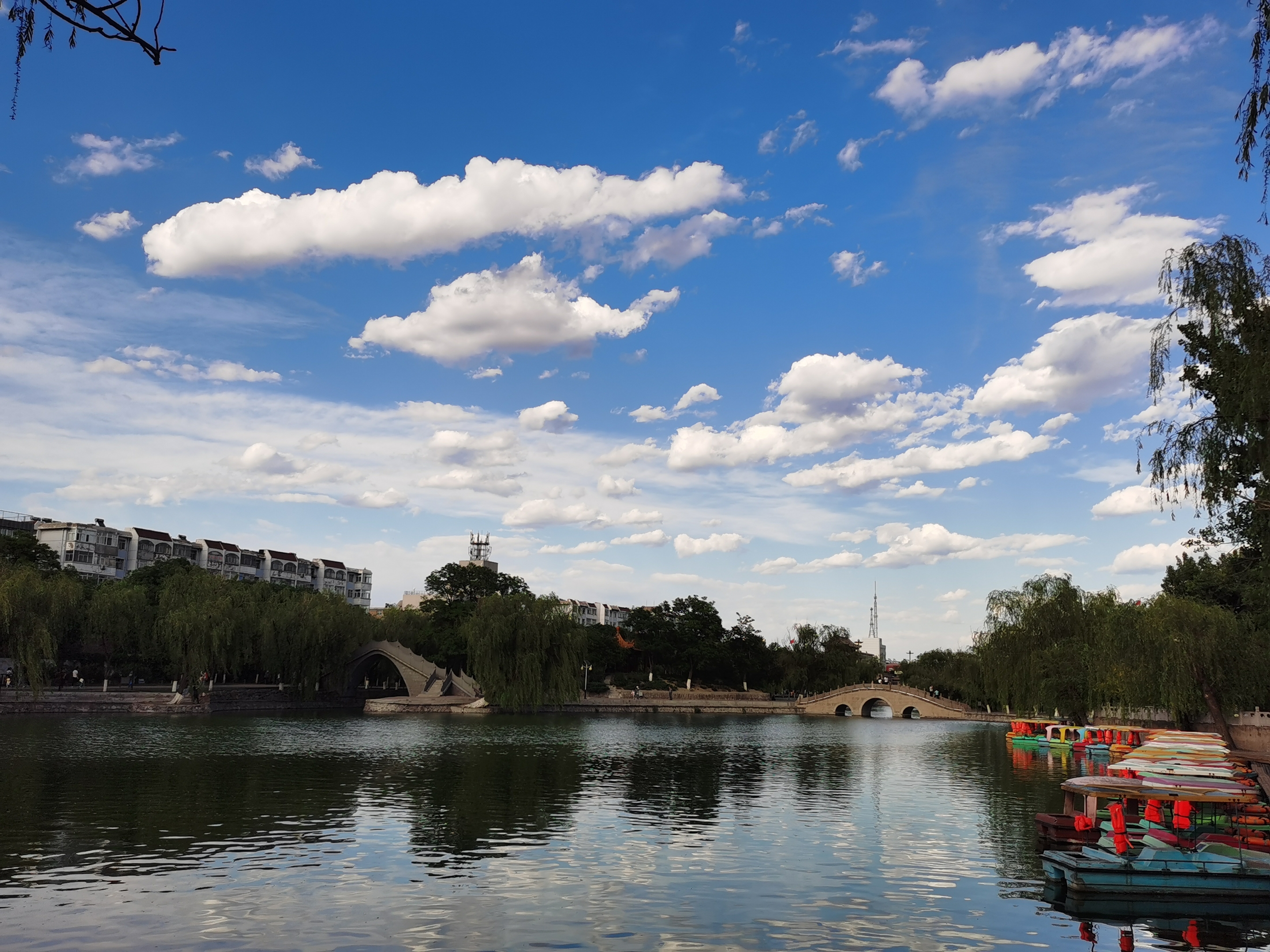 【原创首发】宣化人民公园的三孔桥(宁静向暖)