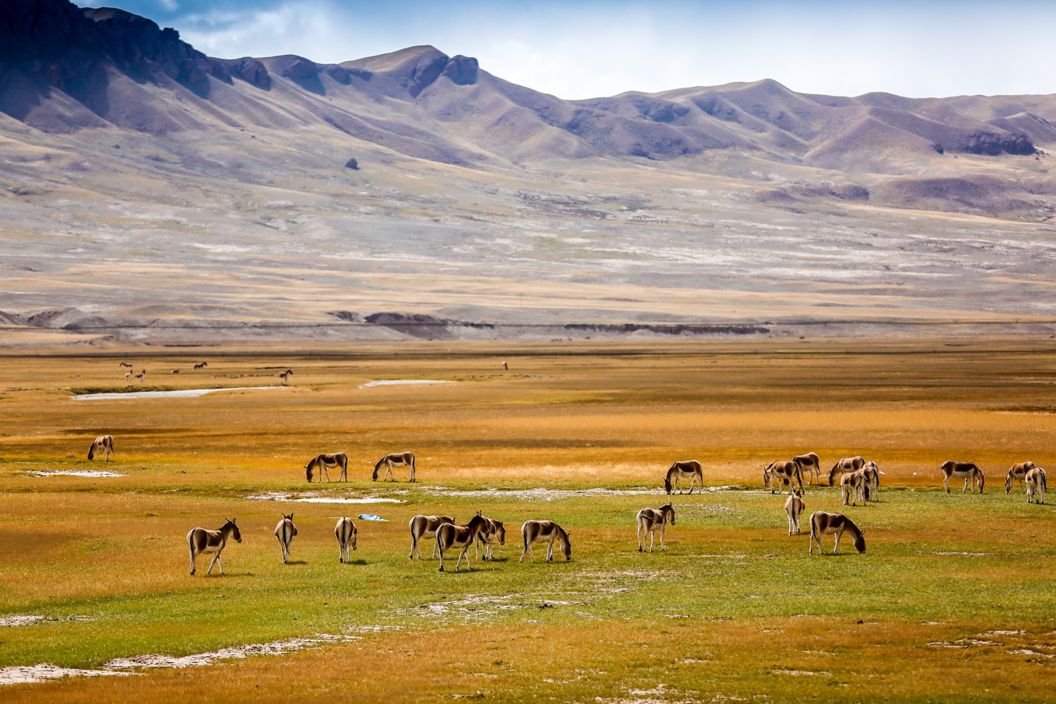 祖国江山美如画 西北风光无限好