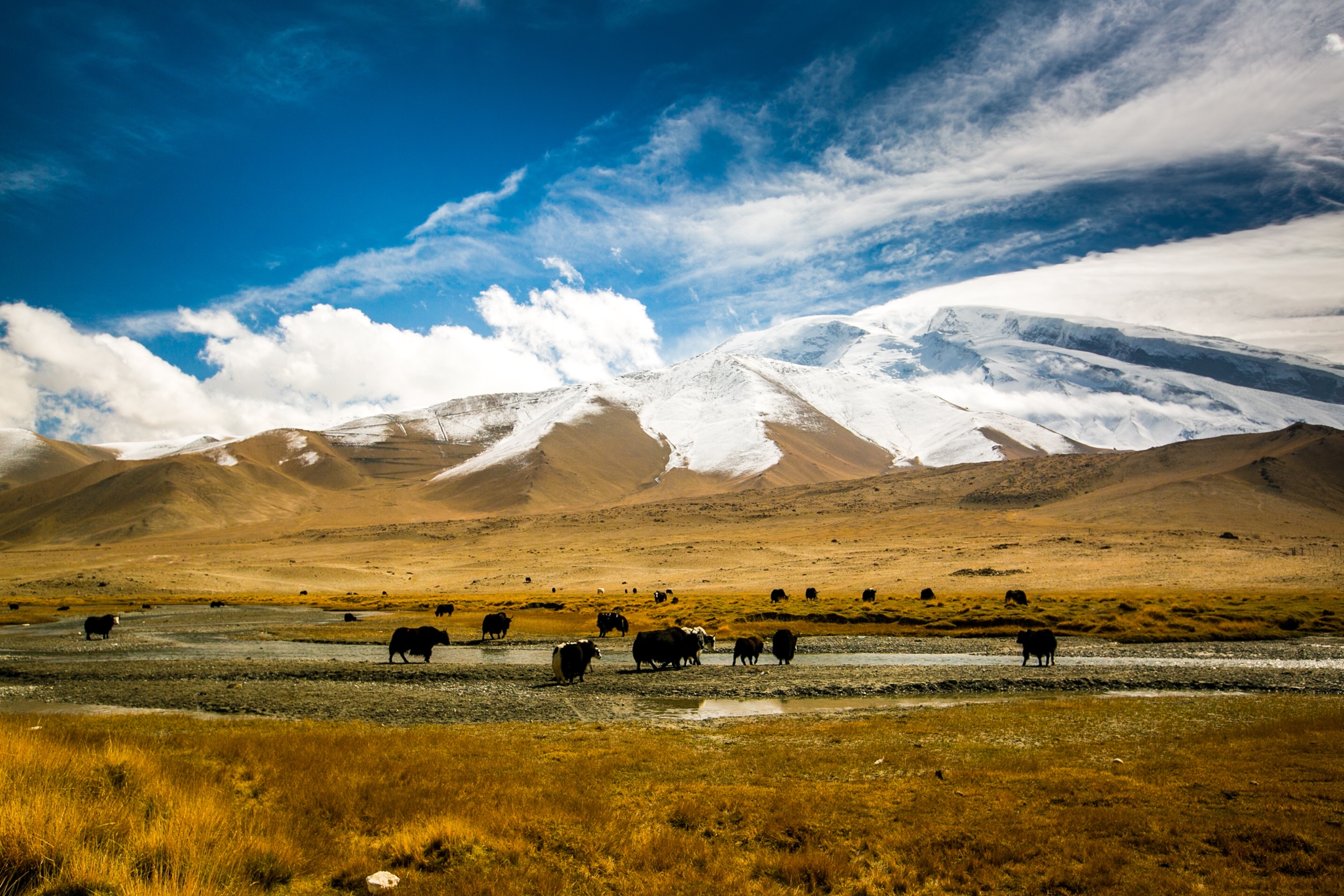 祖国江山美如画 西北风光无限好