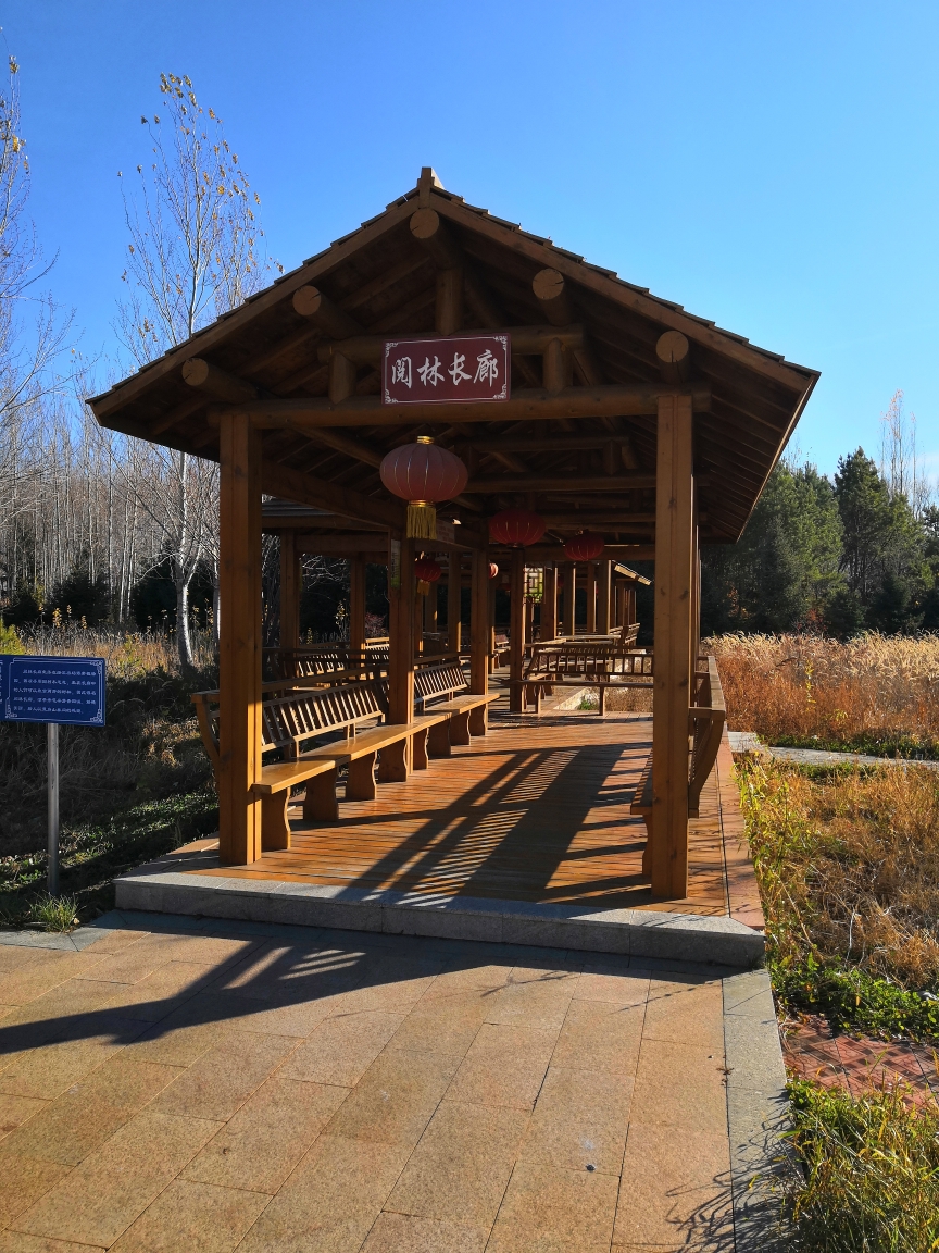 美丽绥滨植物园