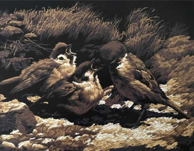 当代版画家杨金祥绝版木刻《麻雀》系列作品选欣赏