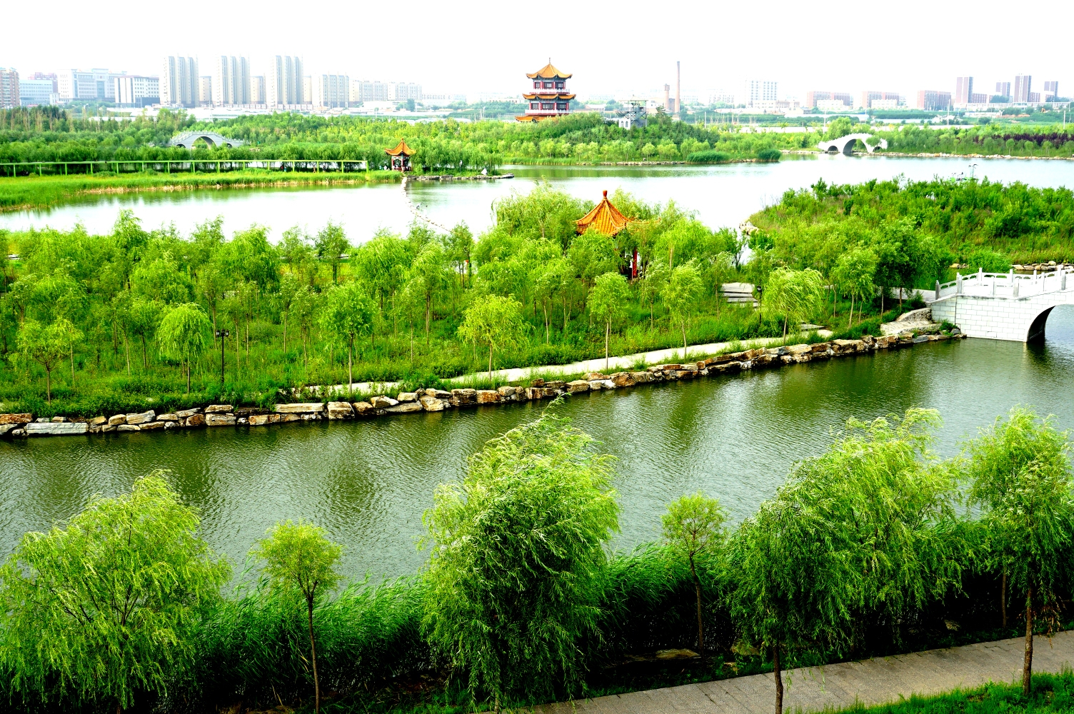 大美湿地__嫩江湾