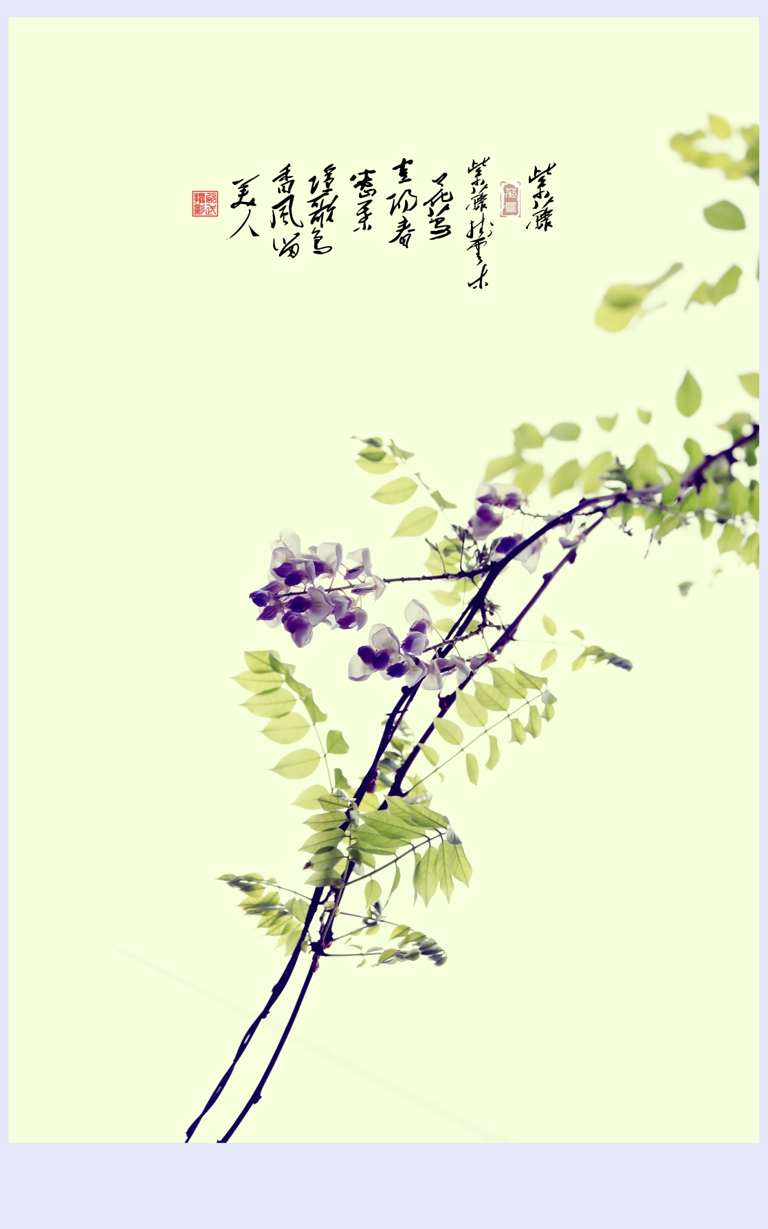 紫藤树诗配画图片