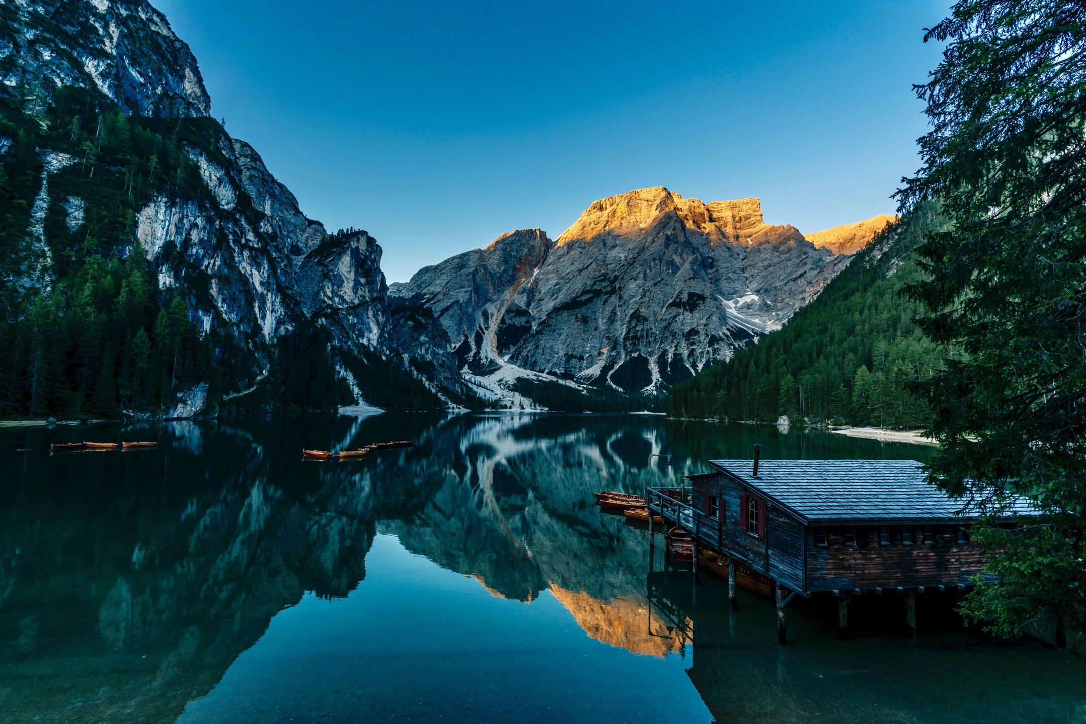 《洛米蒂的鹰》