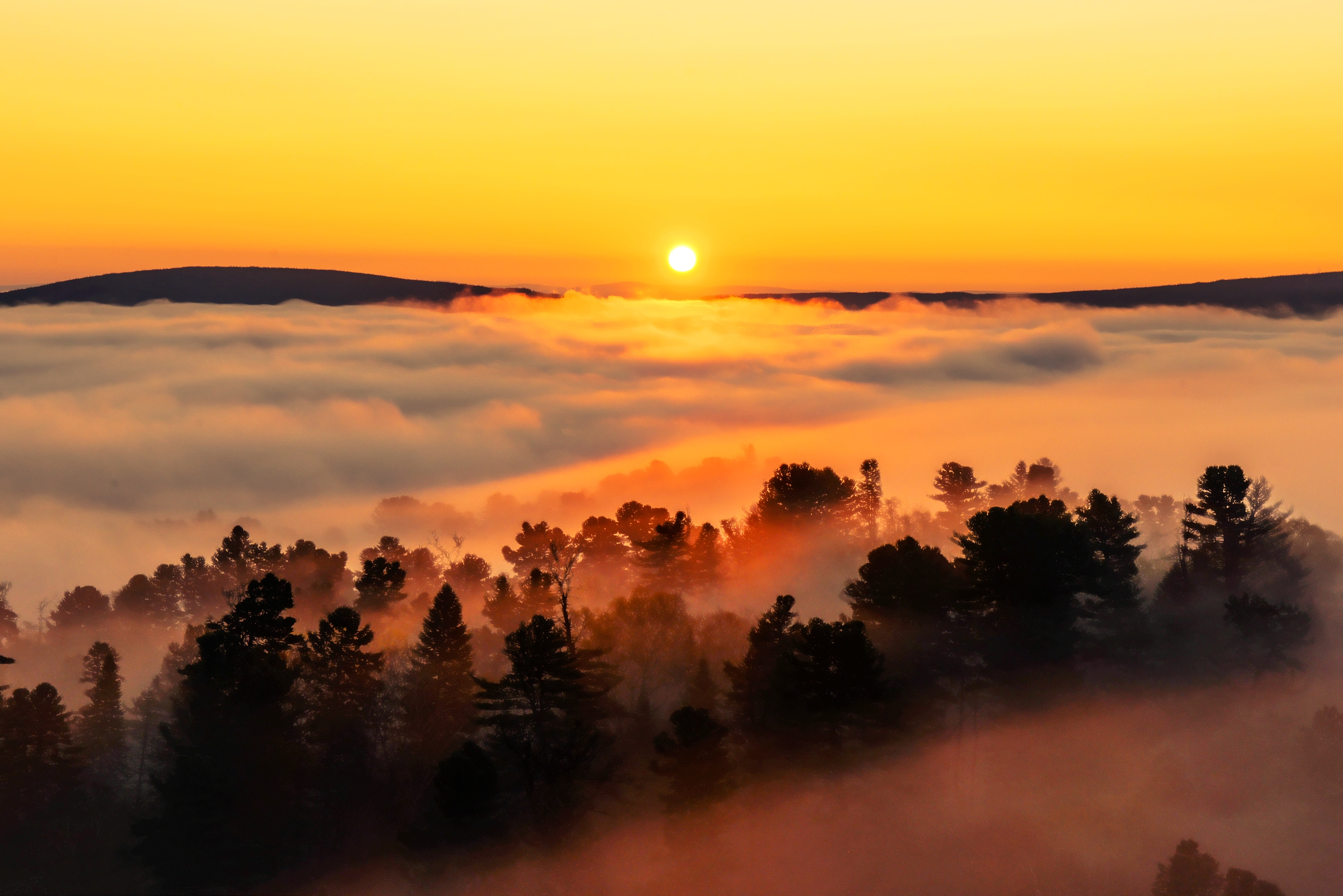 美丽祖国金秋林海