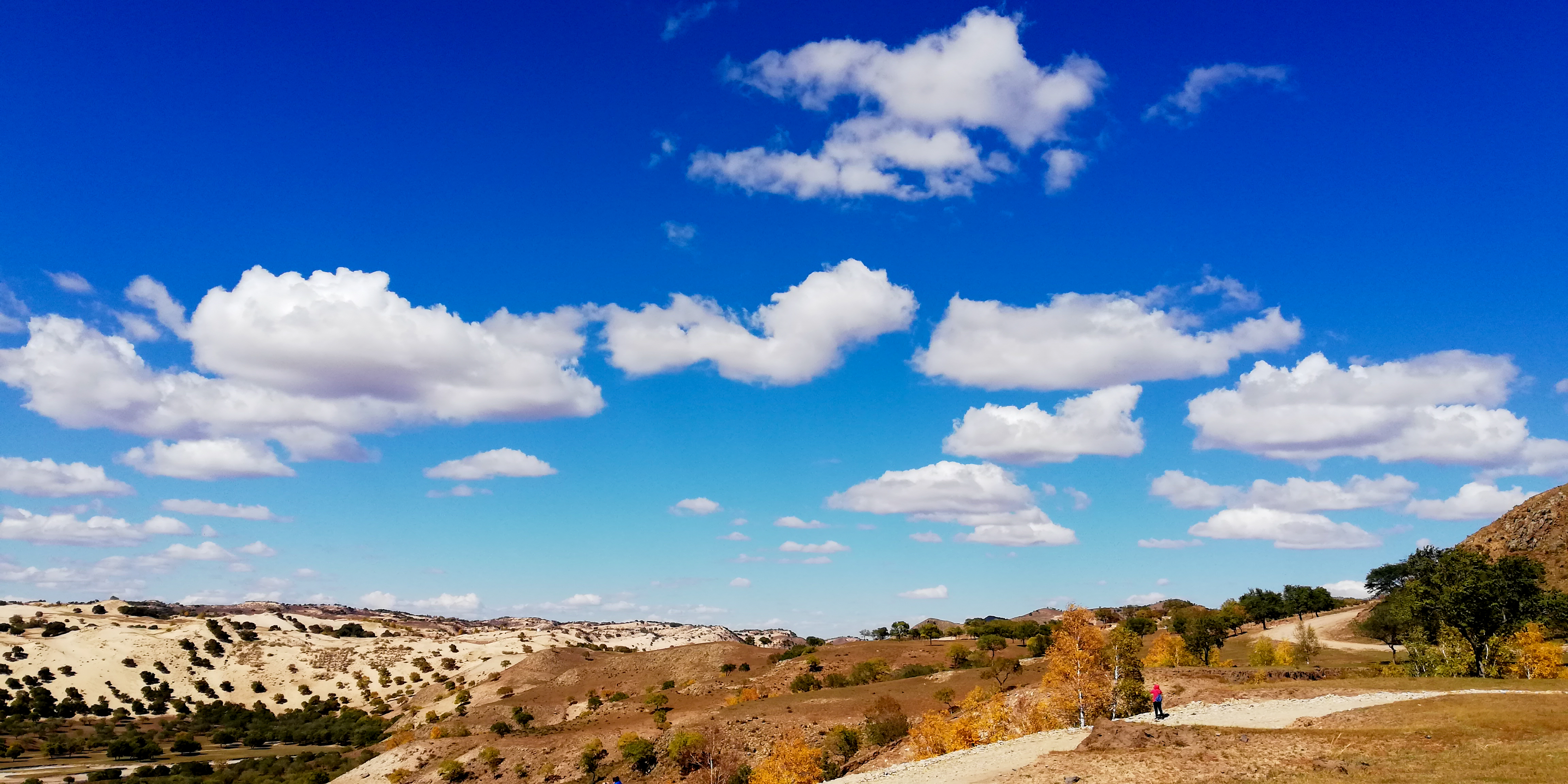 大草原,蓝天白云我的家