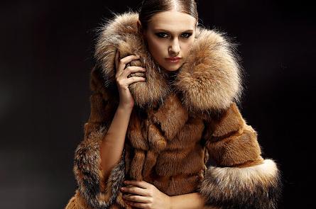 真假皮草原创图片来源于