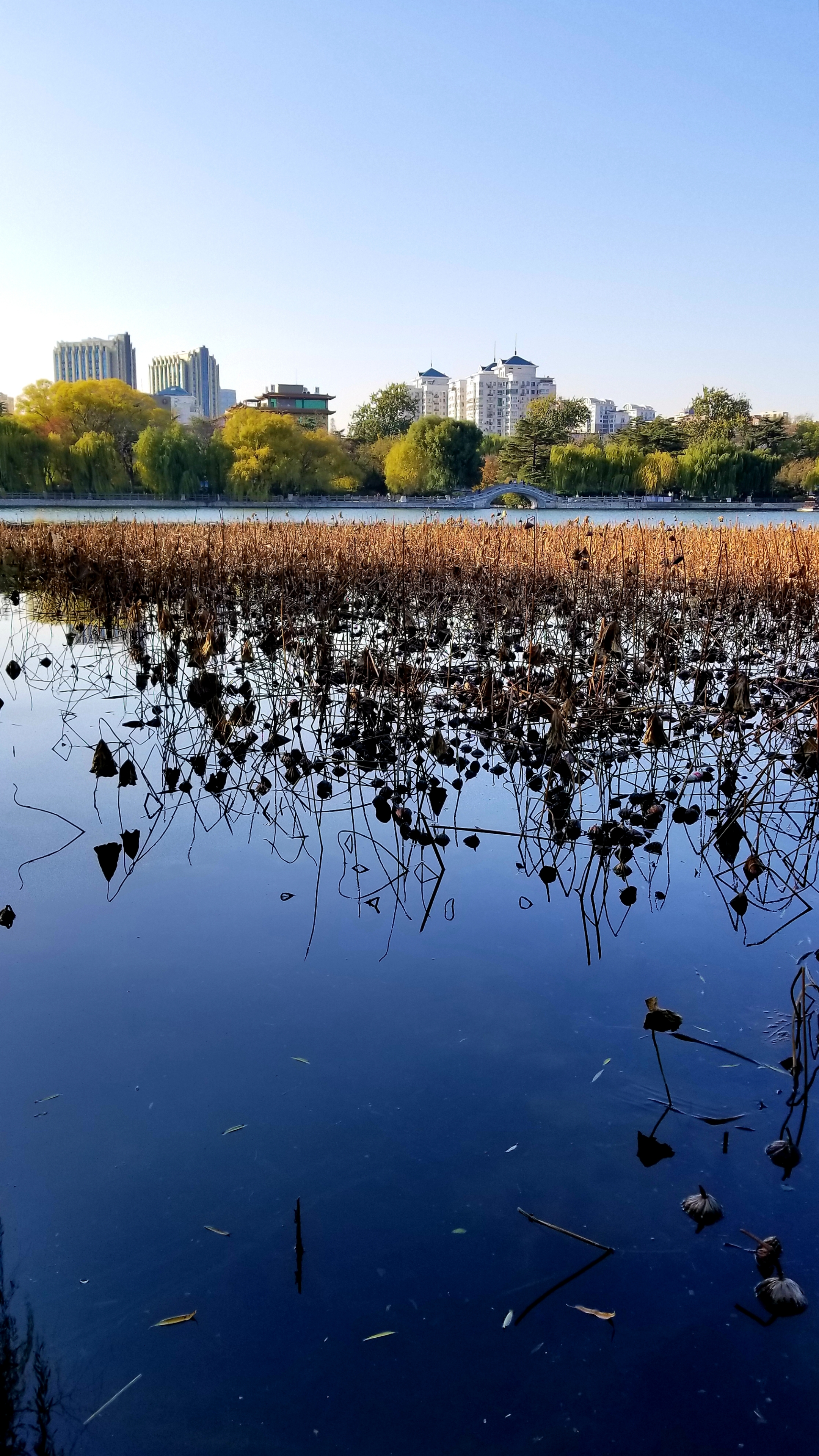 冬之韵空灵的蓝水晶原创首发