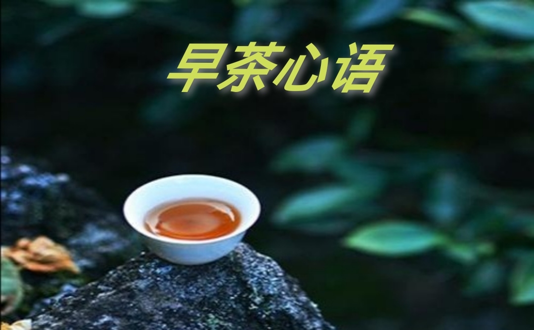 早茶心语