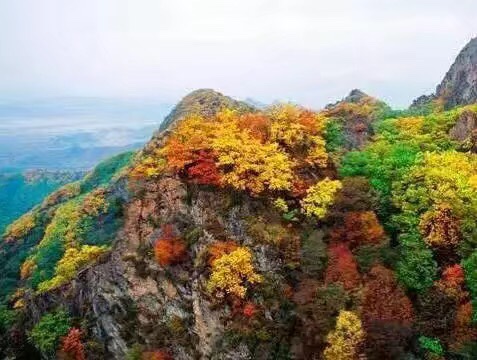 红叶谷,拉法山美美哒