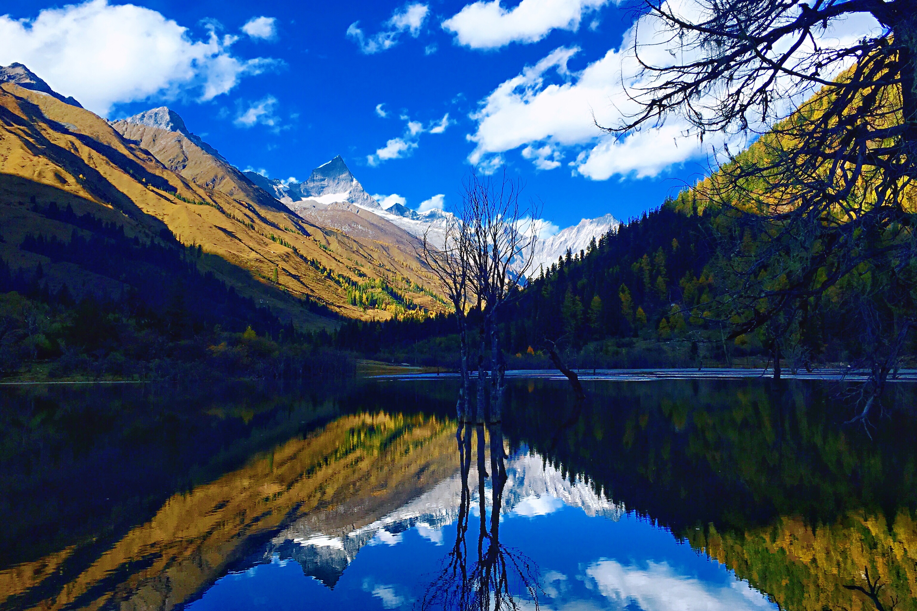 金秋醉美的风景～四姑娘山