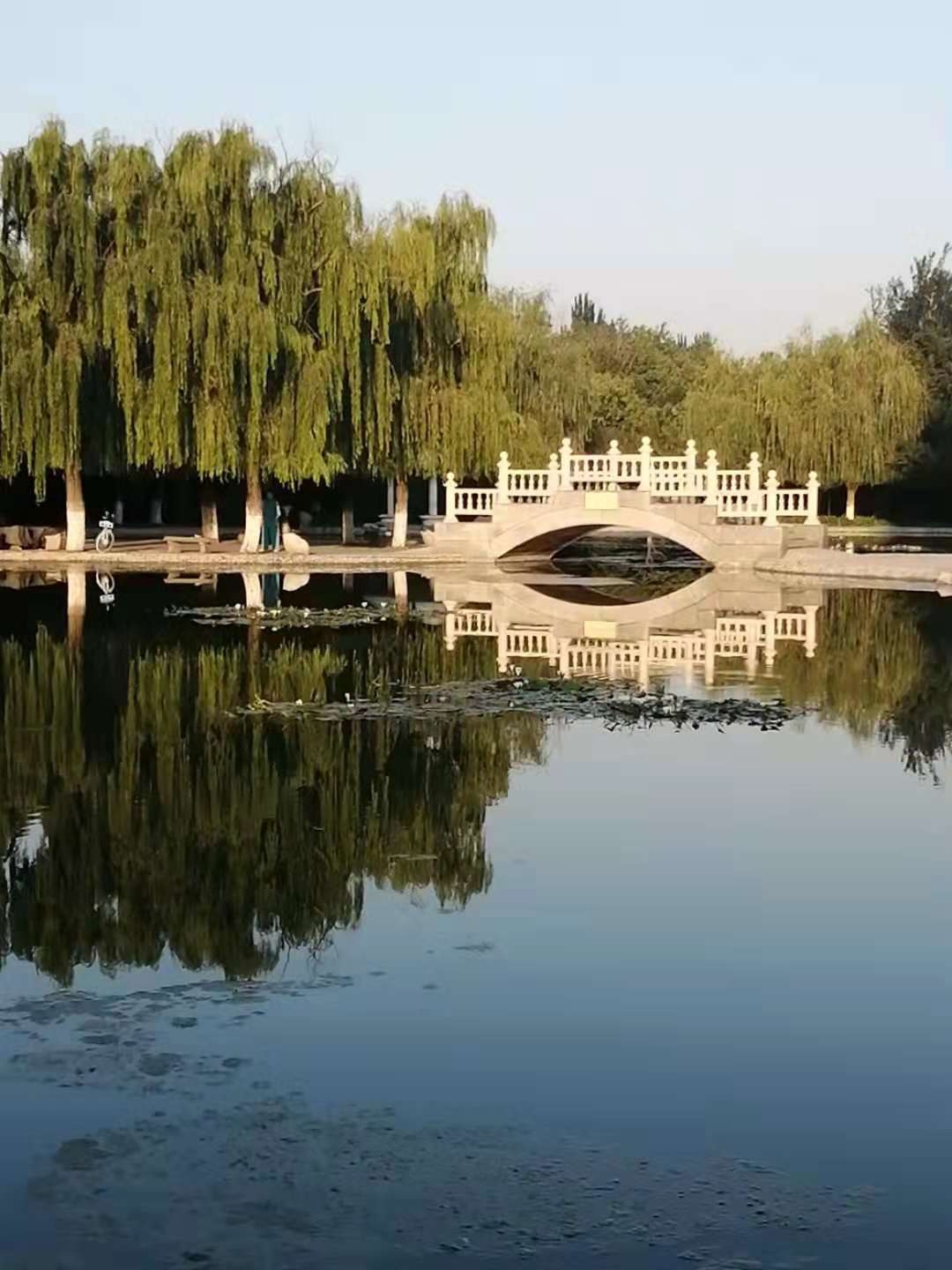 山东理工大学逸夫图书馆礼赞