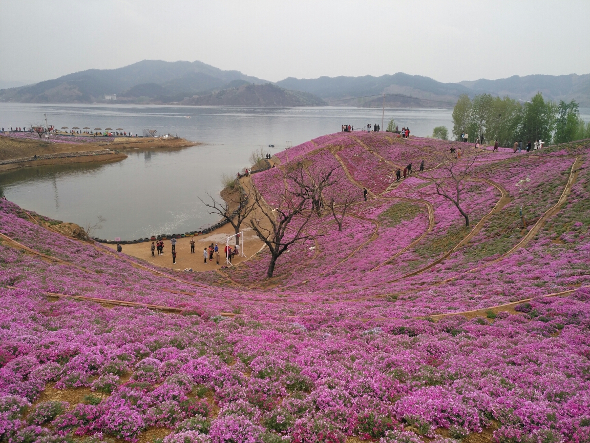 迁安雨花谷图片