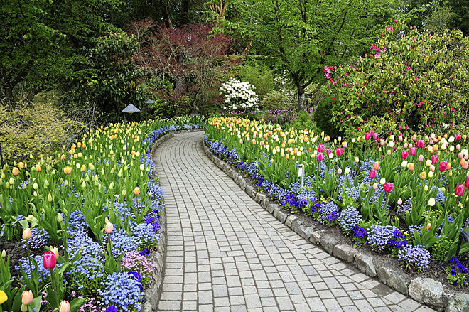 开满鲜花的的小路多美呀!课文听完了,你明白了什么呢?