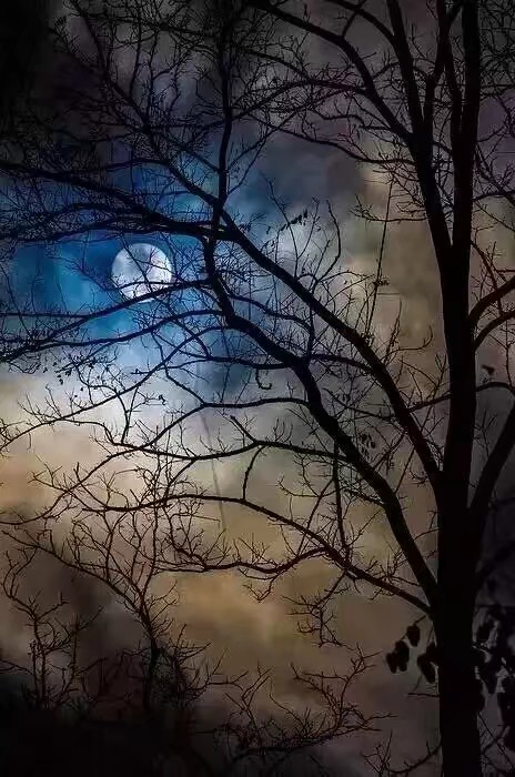 月夜雪天图片