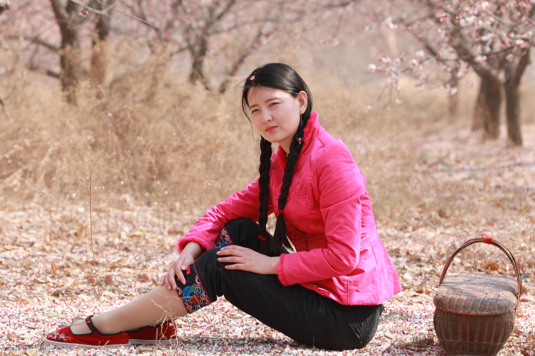 小芳(二)杏花树下