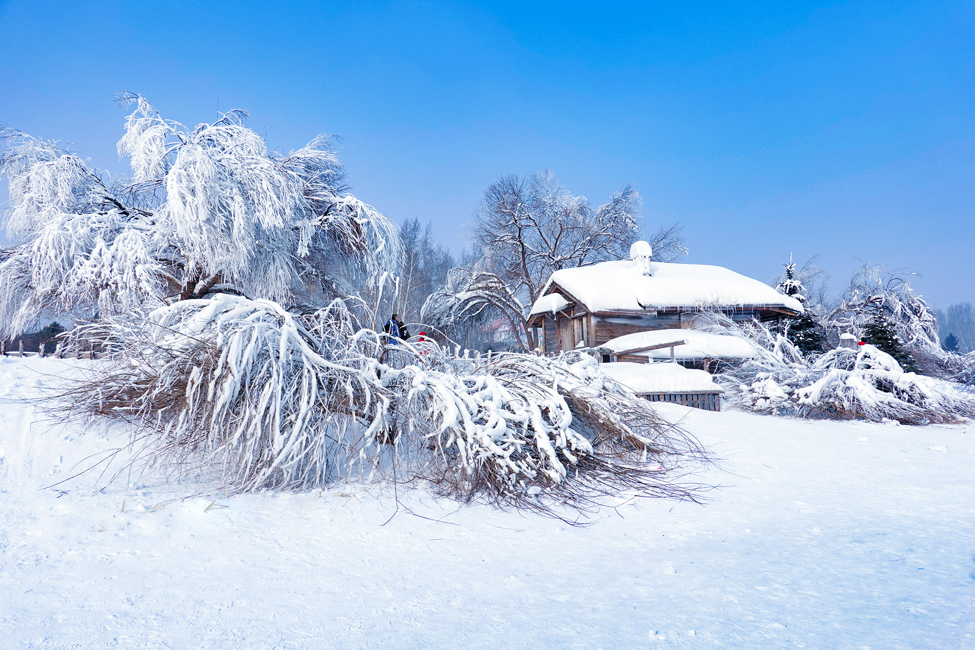 北國冰雪行攝之一伏爾加莊園賞雪景