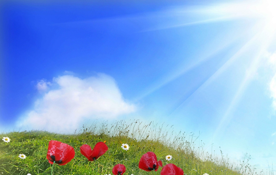 玩转v篇_《翻阅阳光》作者:阿紫诵读:过岩松