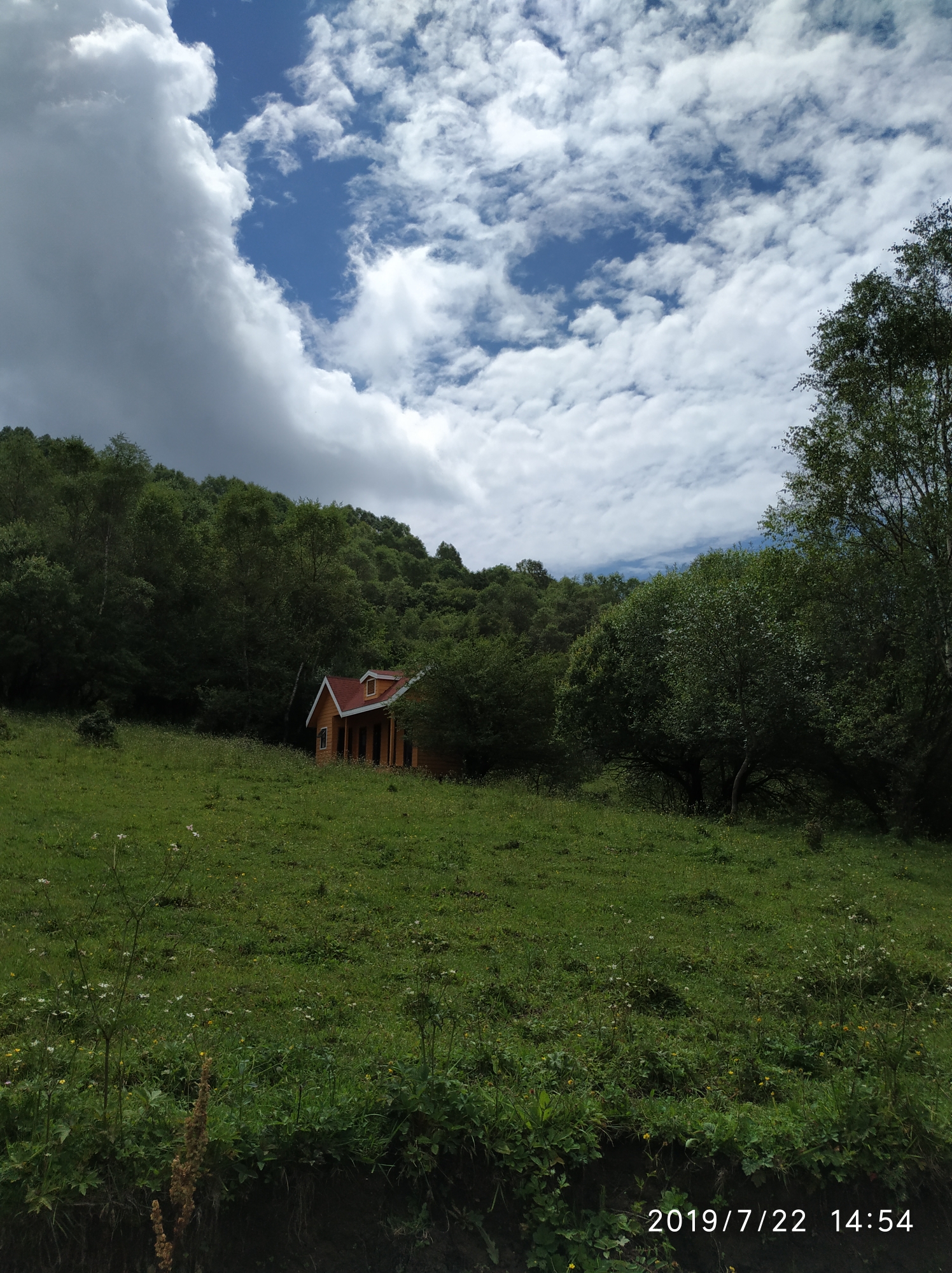 距宝鸡市区134公里,是中国西北内陆地区唯一的以高山草甸为主体的具有