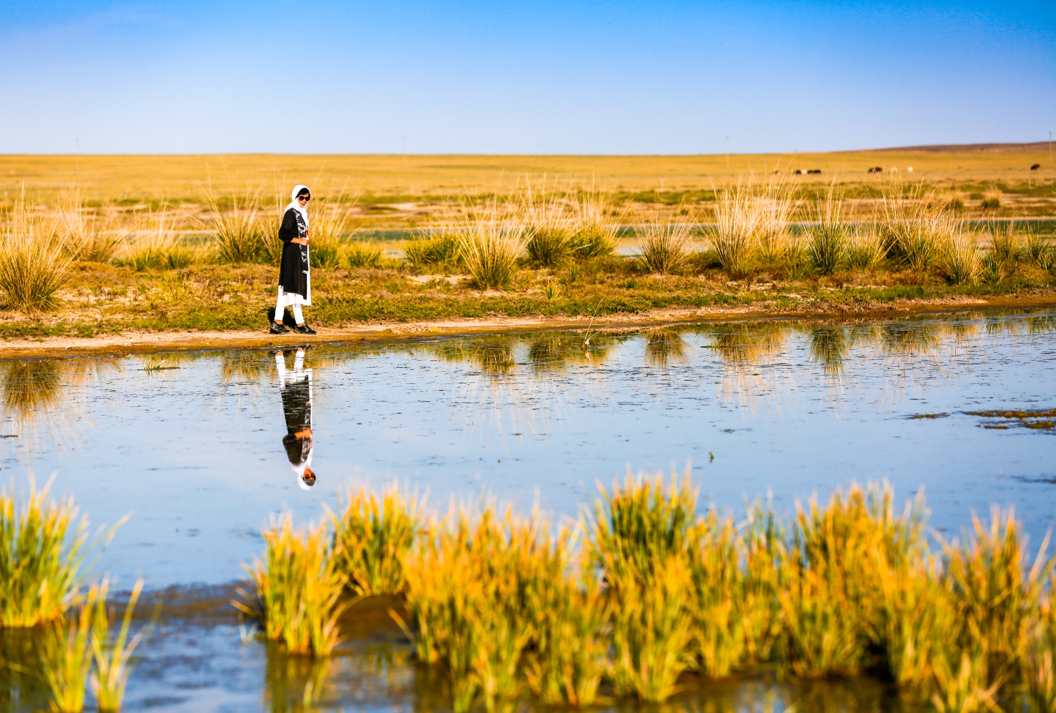 最美的风景在草海