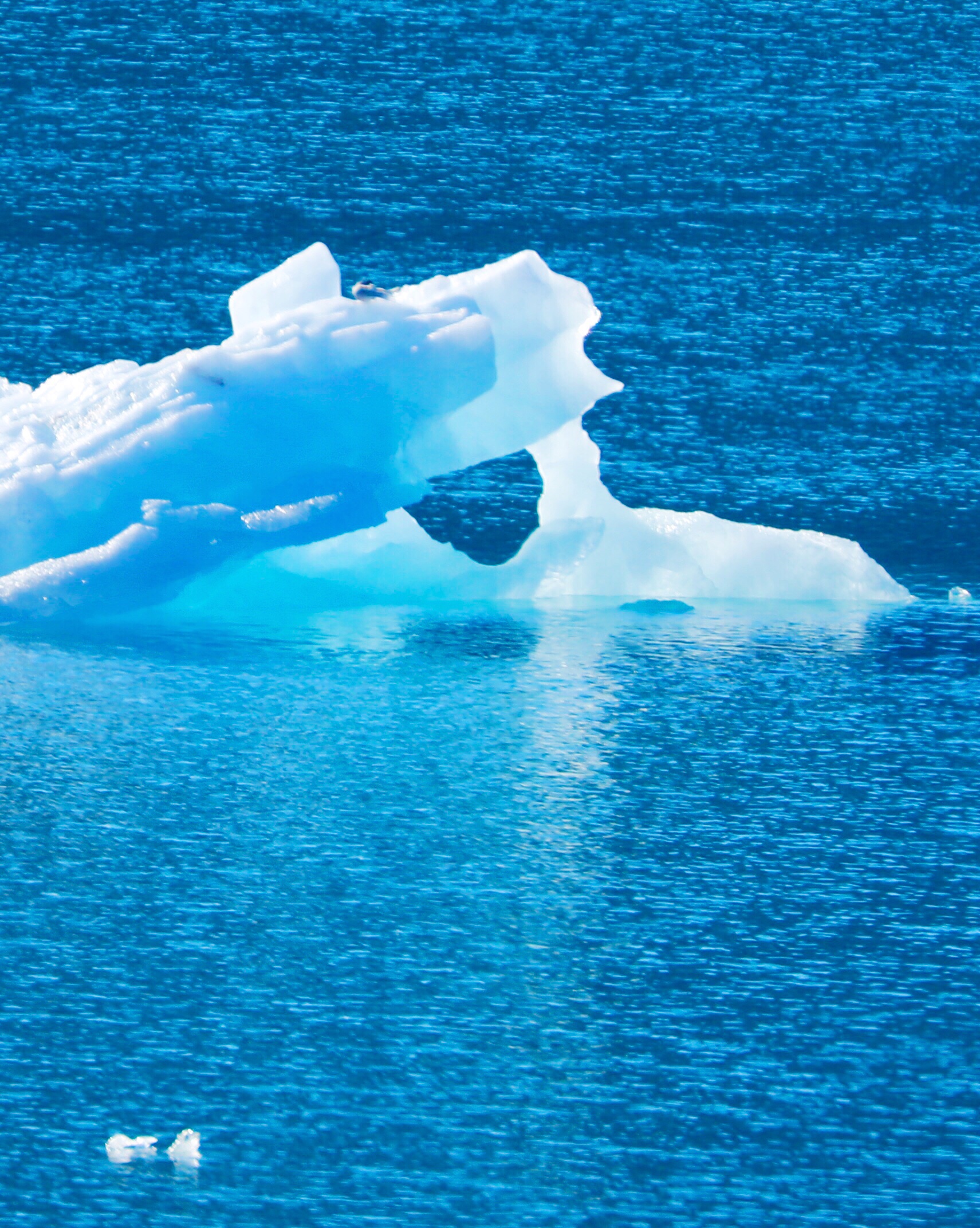 北极,我惊险幸运的快乐之旅!