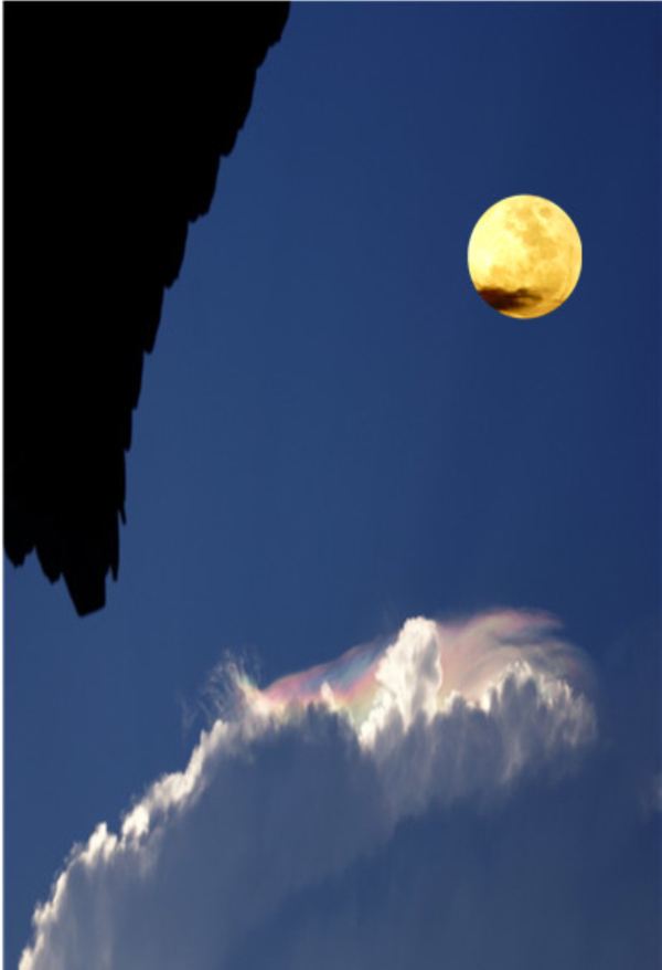 《彩云追月》,月圆人圆!送给朋友们!