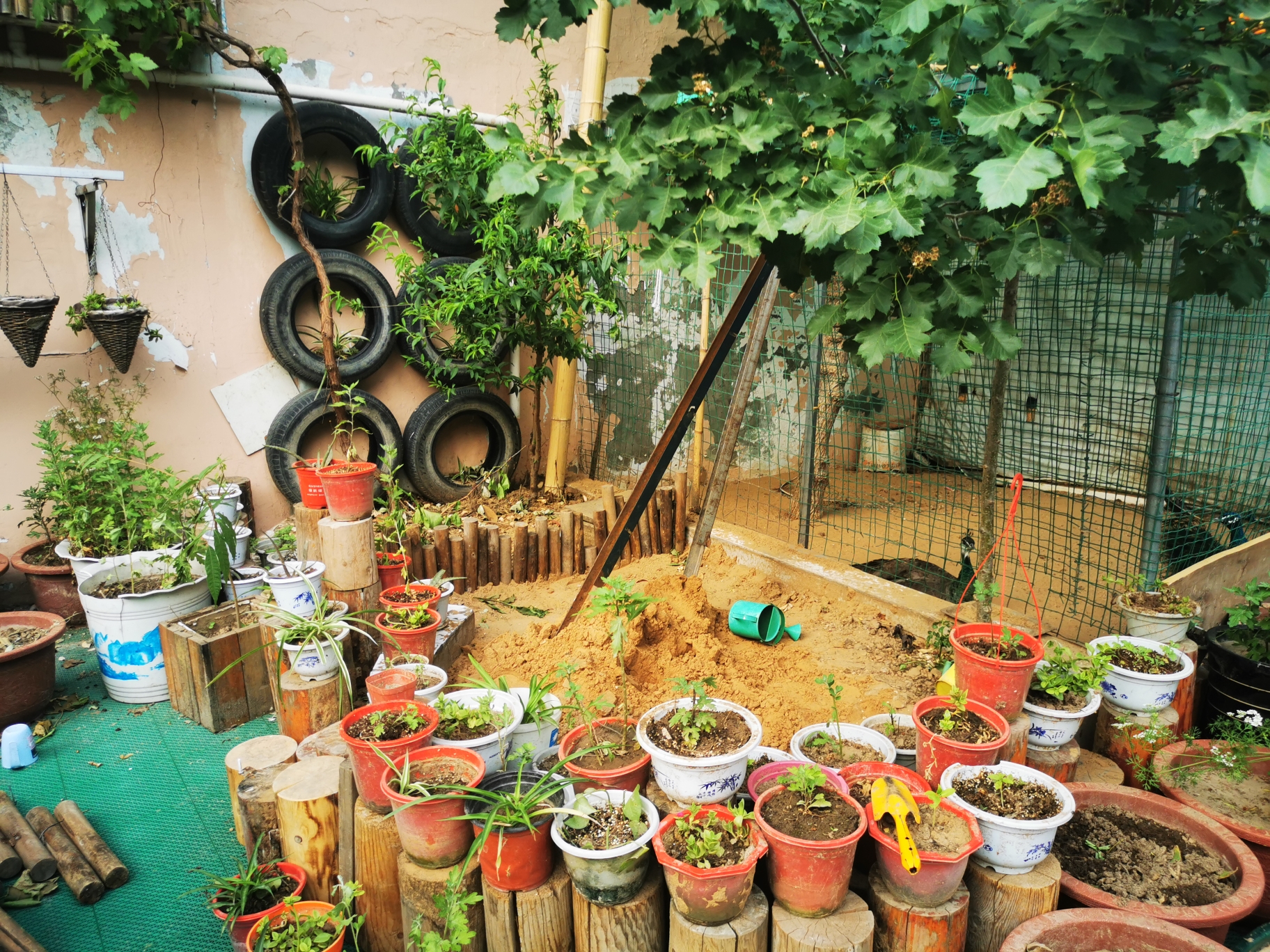 沙坑注满新沙,山楂树下,是孩子们最喜欢的天地.