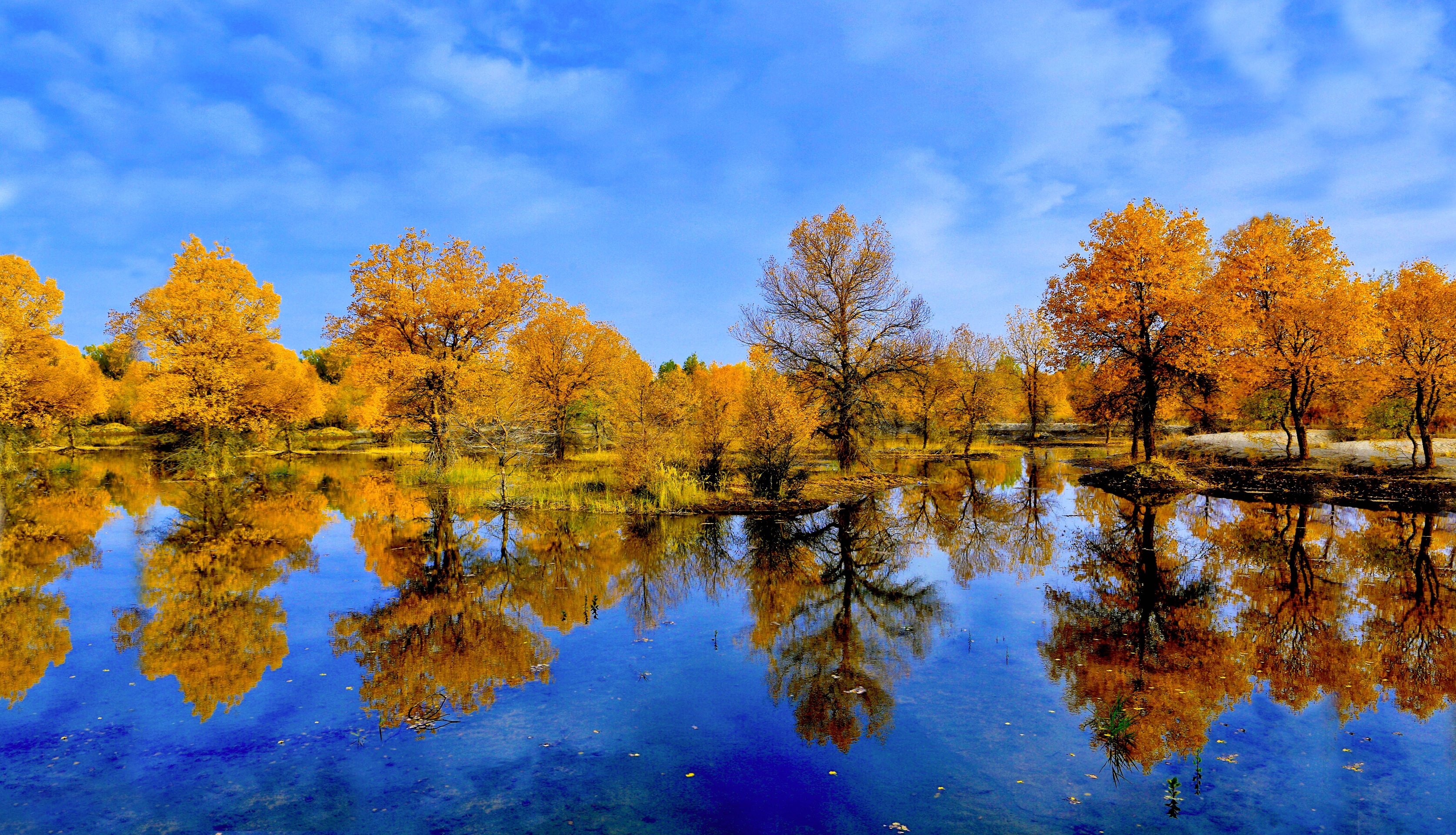 [文声汇影]微信摄影风景合辑第二十六期