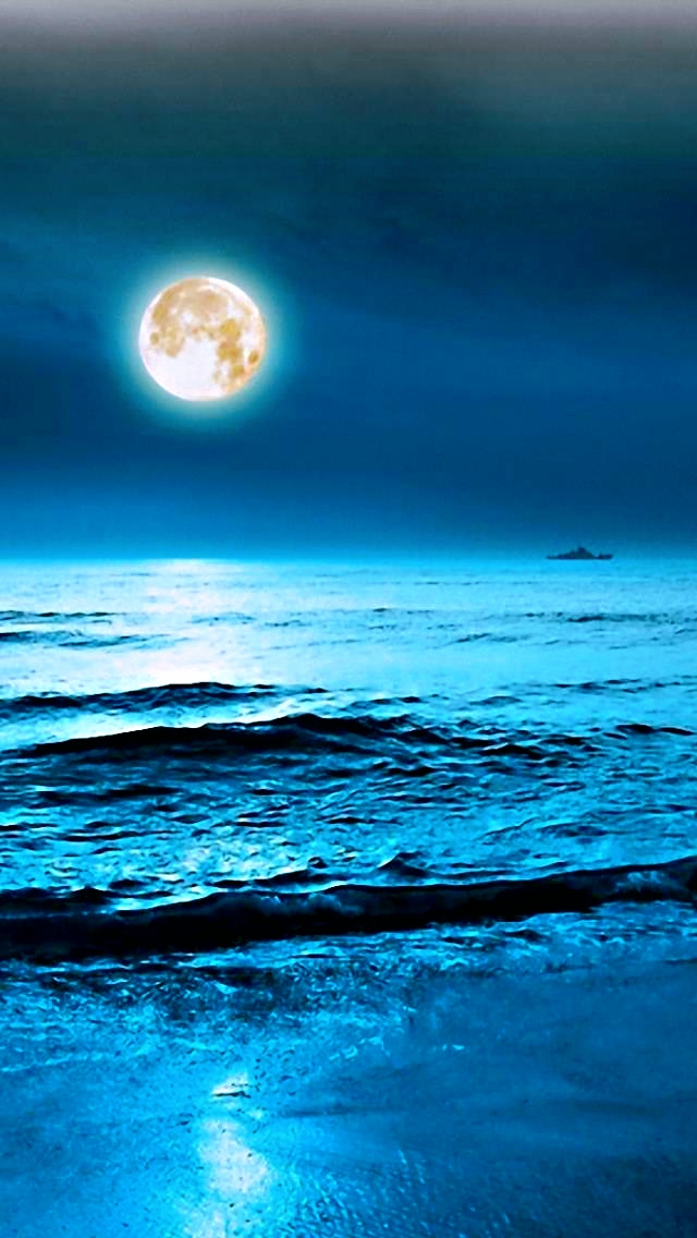 讴歌美好 | 中秋的月亮