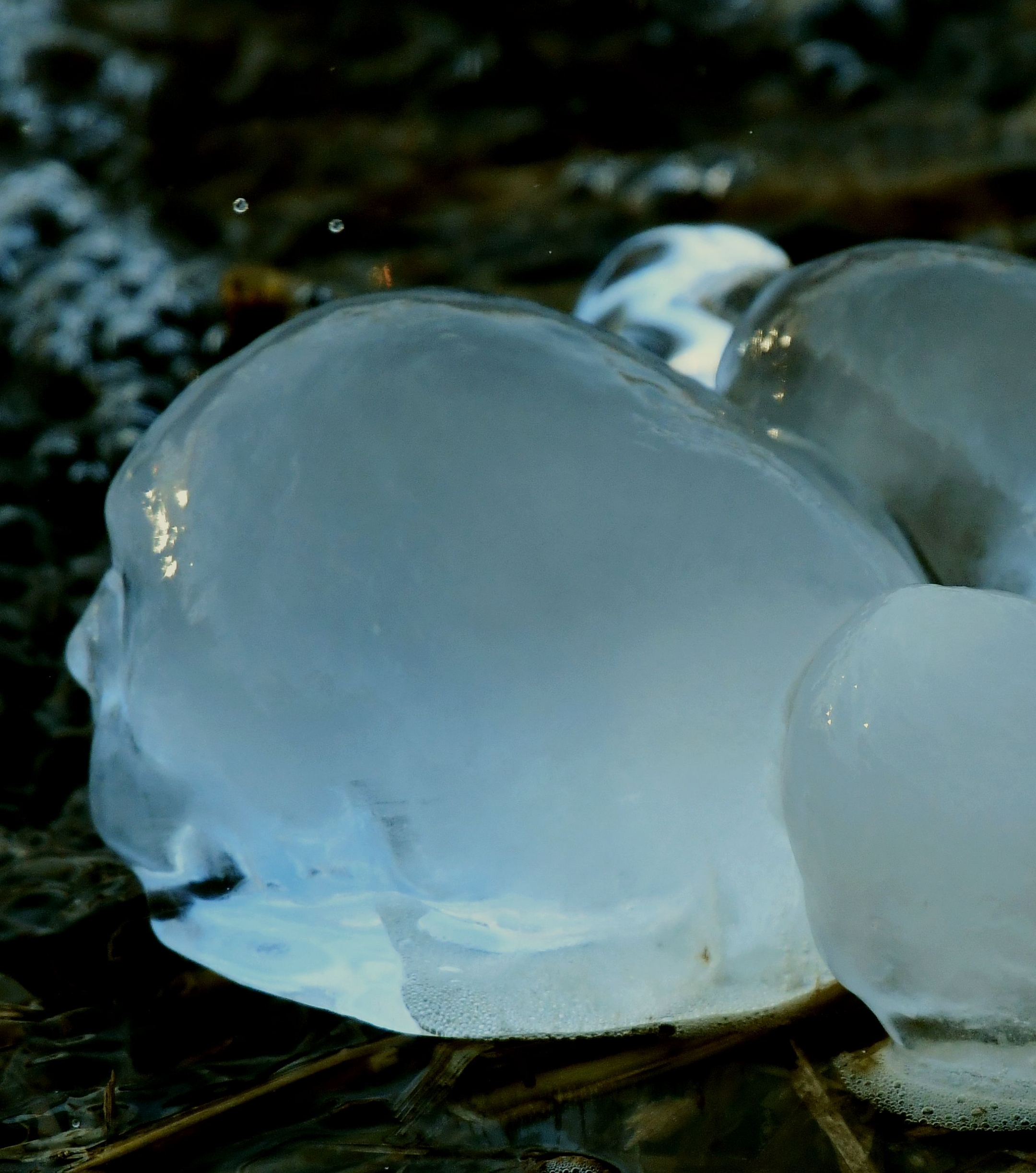 冬日印象寒冰二首发