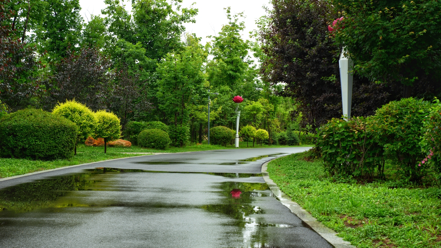 雨后建三江植物园
