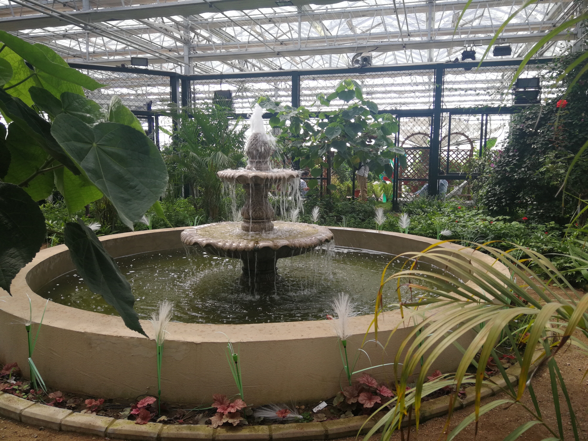 访北魏鹿苑,探农业嘉年华.