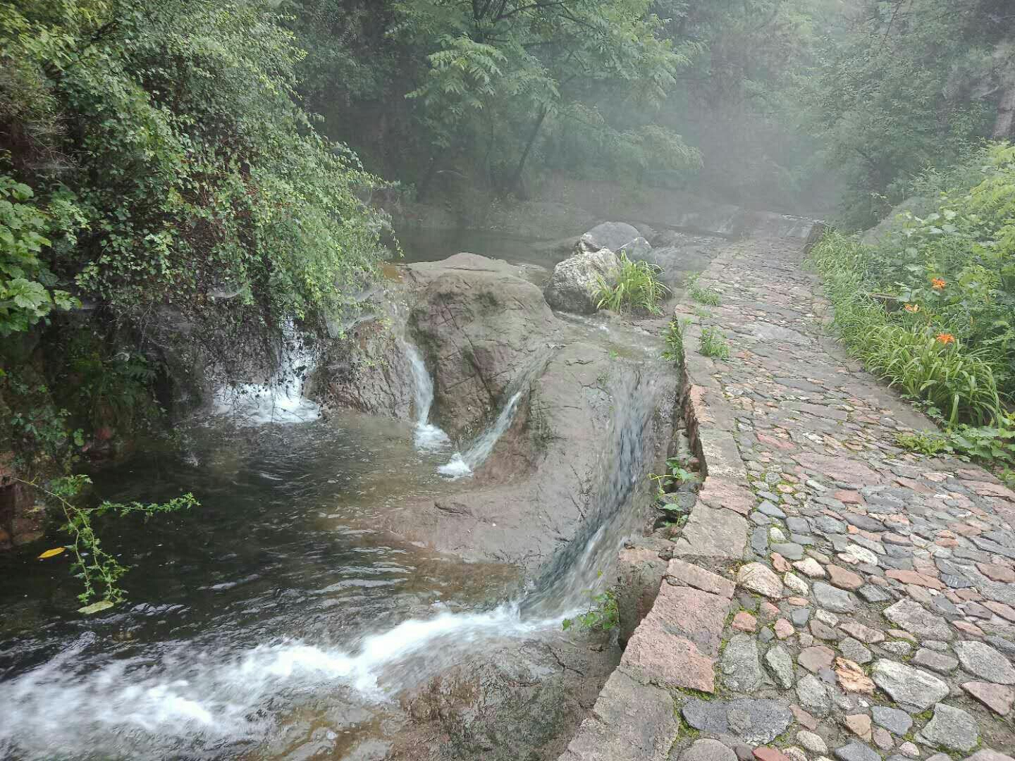 7号周五天然氧吧滚龙沟一日游