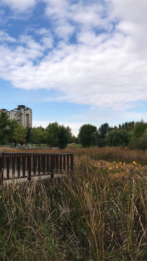 摄影 秋水远山 器材 手机拍摄 地点 蒲河大溪地公园 时间 20181010