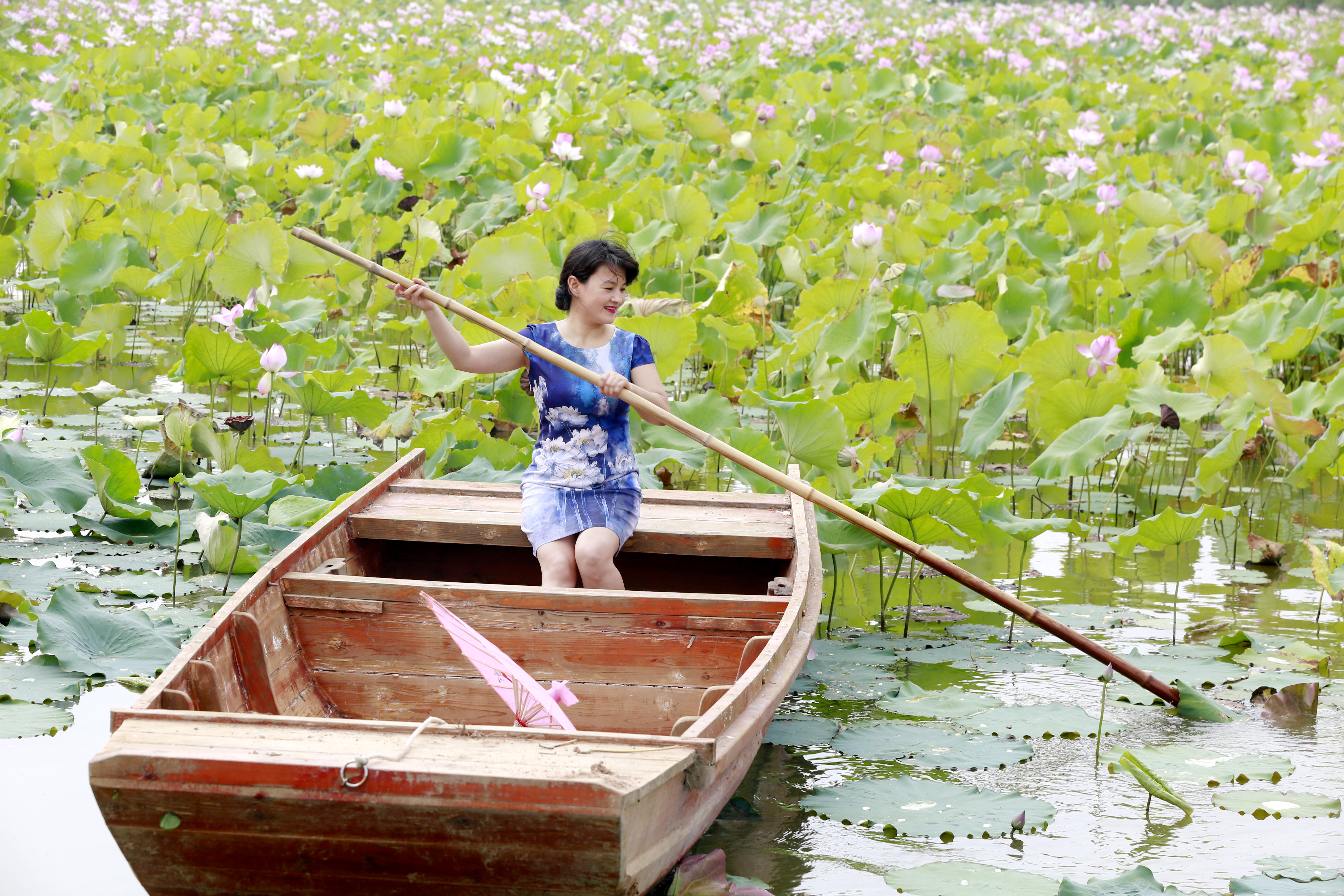 荷塘弄舟采莲女荷叶荷裙相映色