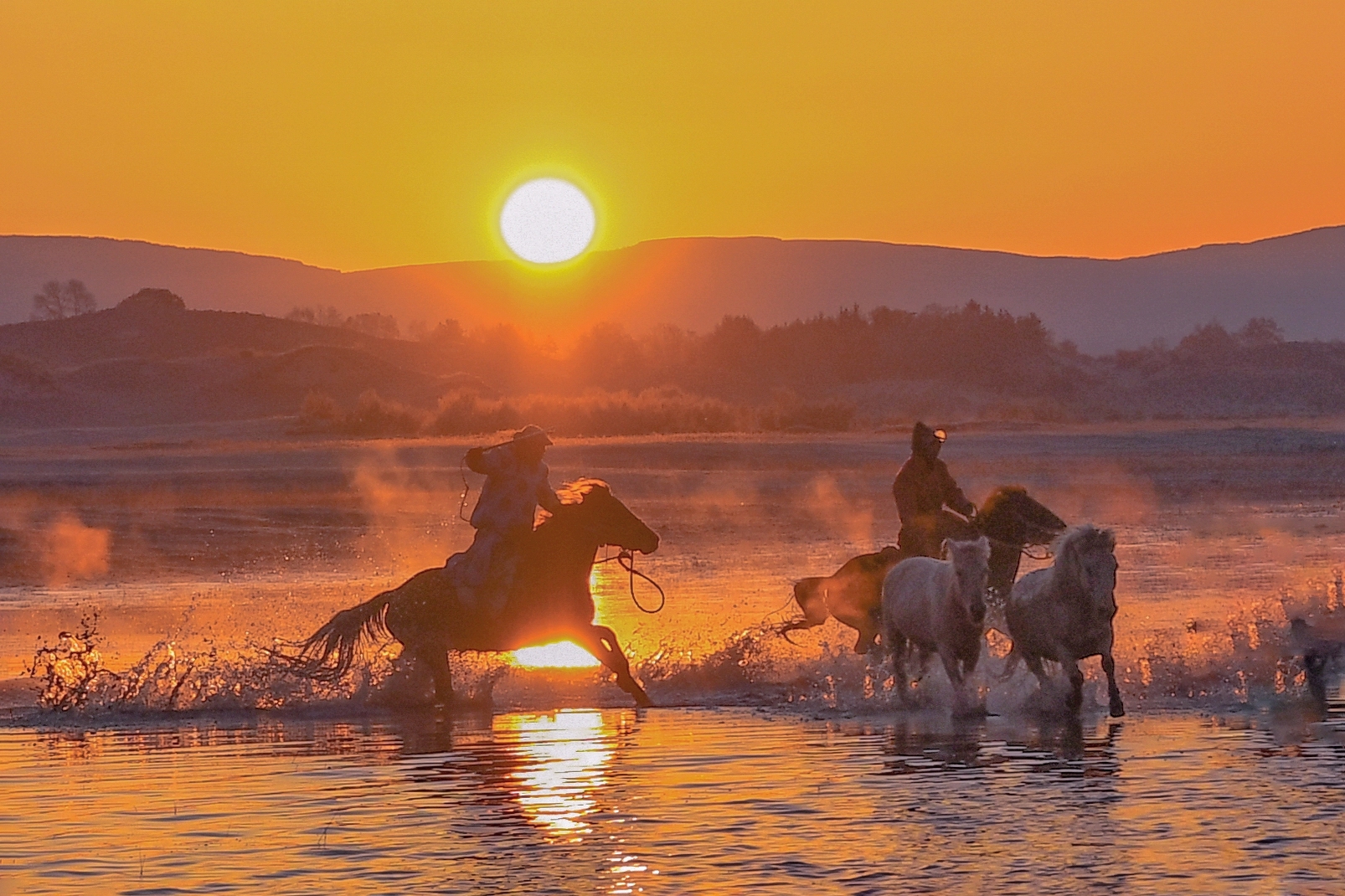 《骏马奔腾迎着朝阳》 摄影:山丘