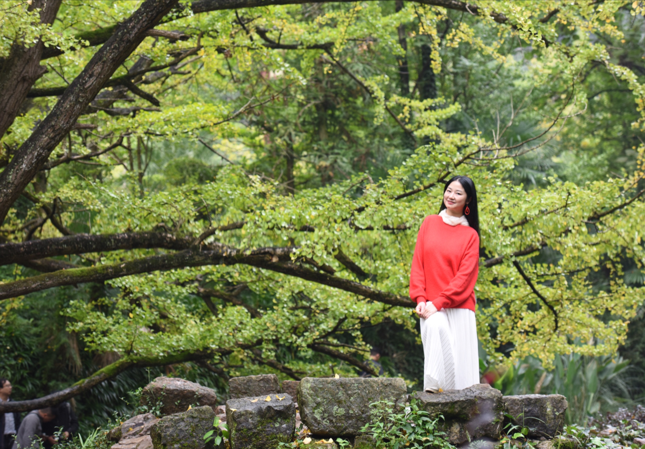 落叶的静美,一场淡然和从容