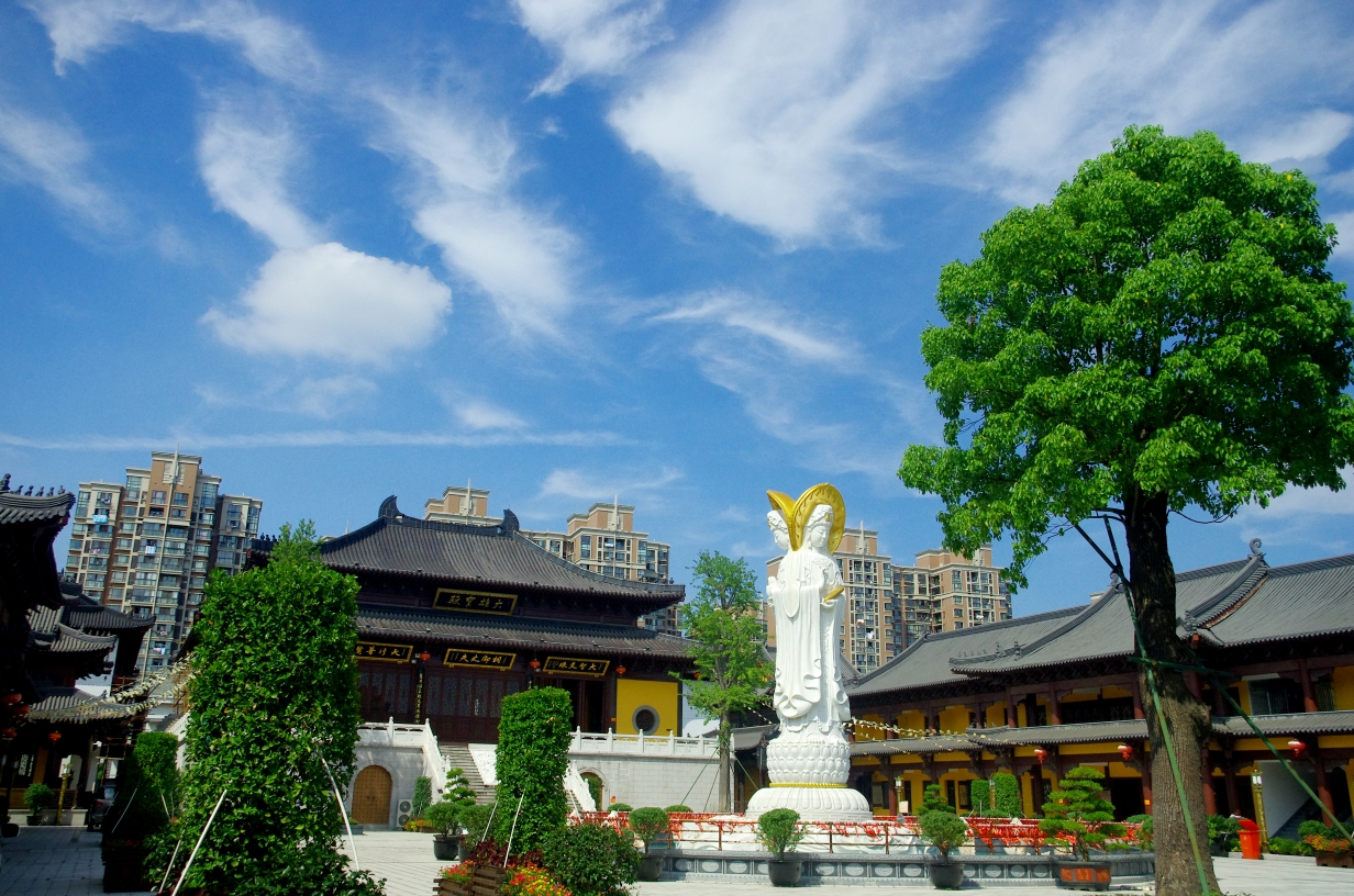 行行摄摄十三浦东九龙壁(周浦永定寺)