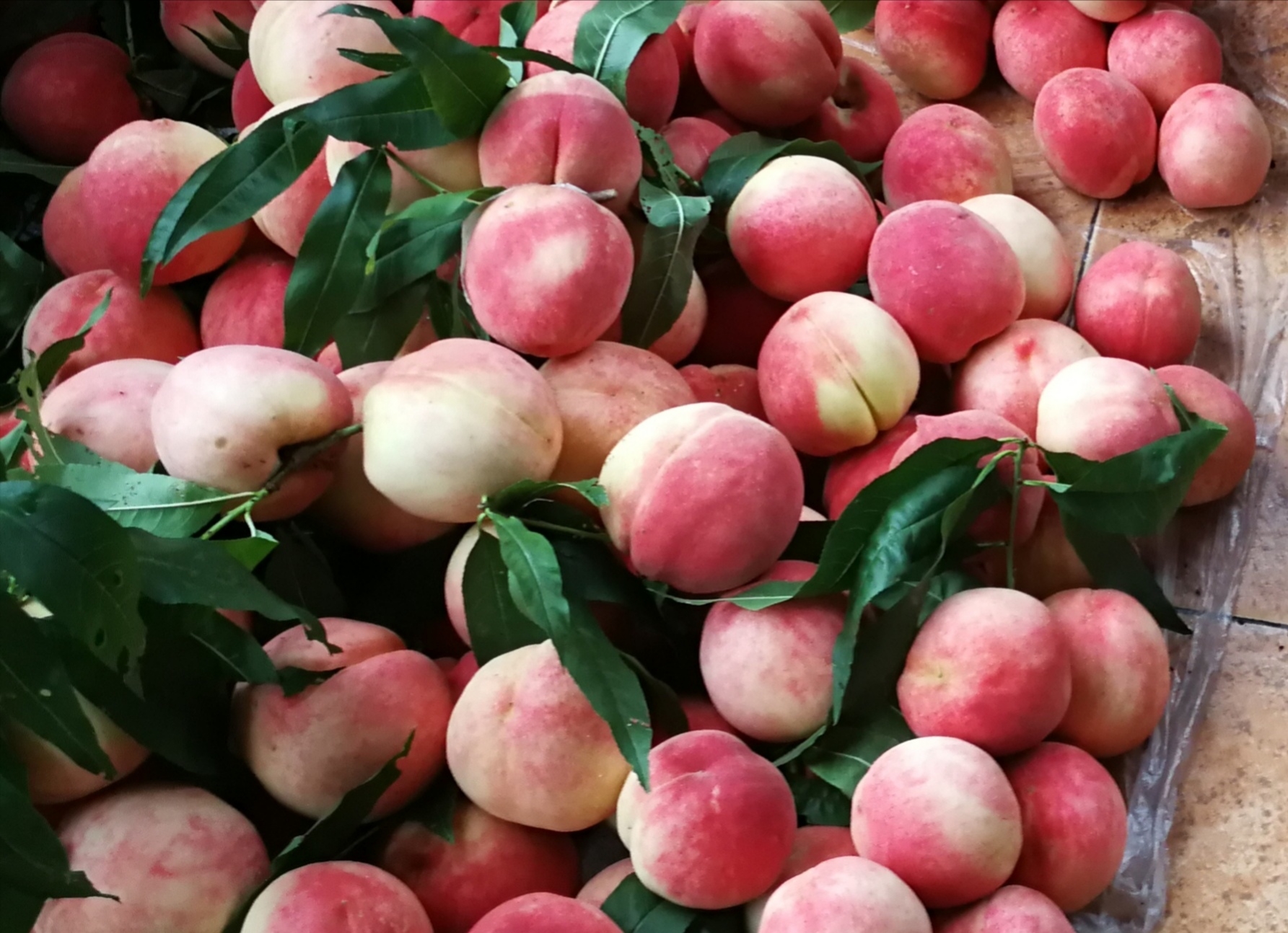 在长廊的拐角处,有一位大哥和一位大姐,他们吆喝着卖桃子.