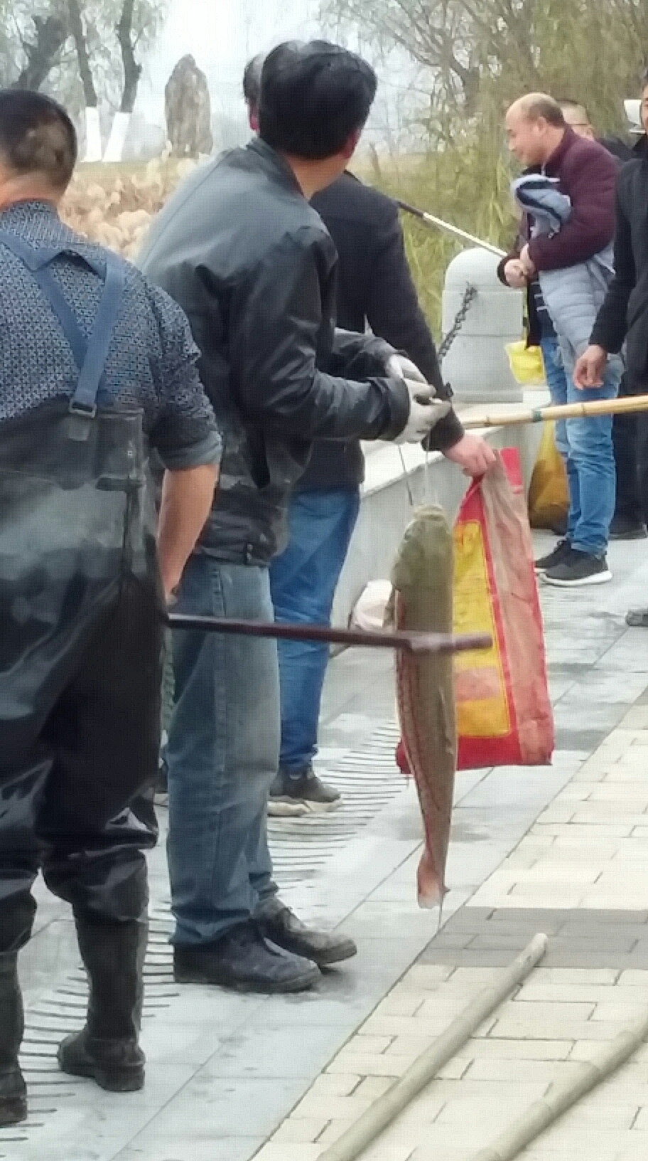 汉江边观捞鱼 (日记篇)