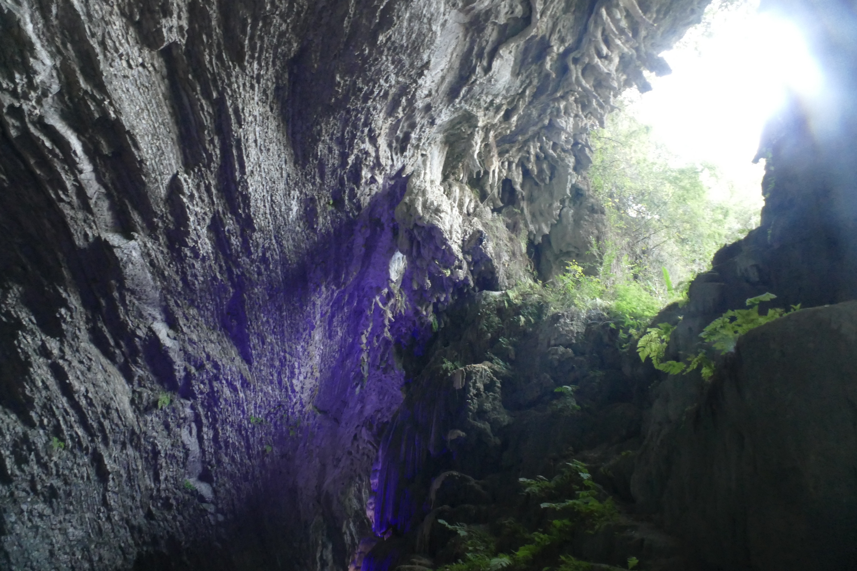 紫云岩风景图片图片