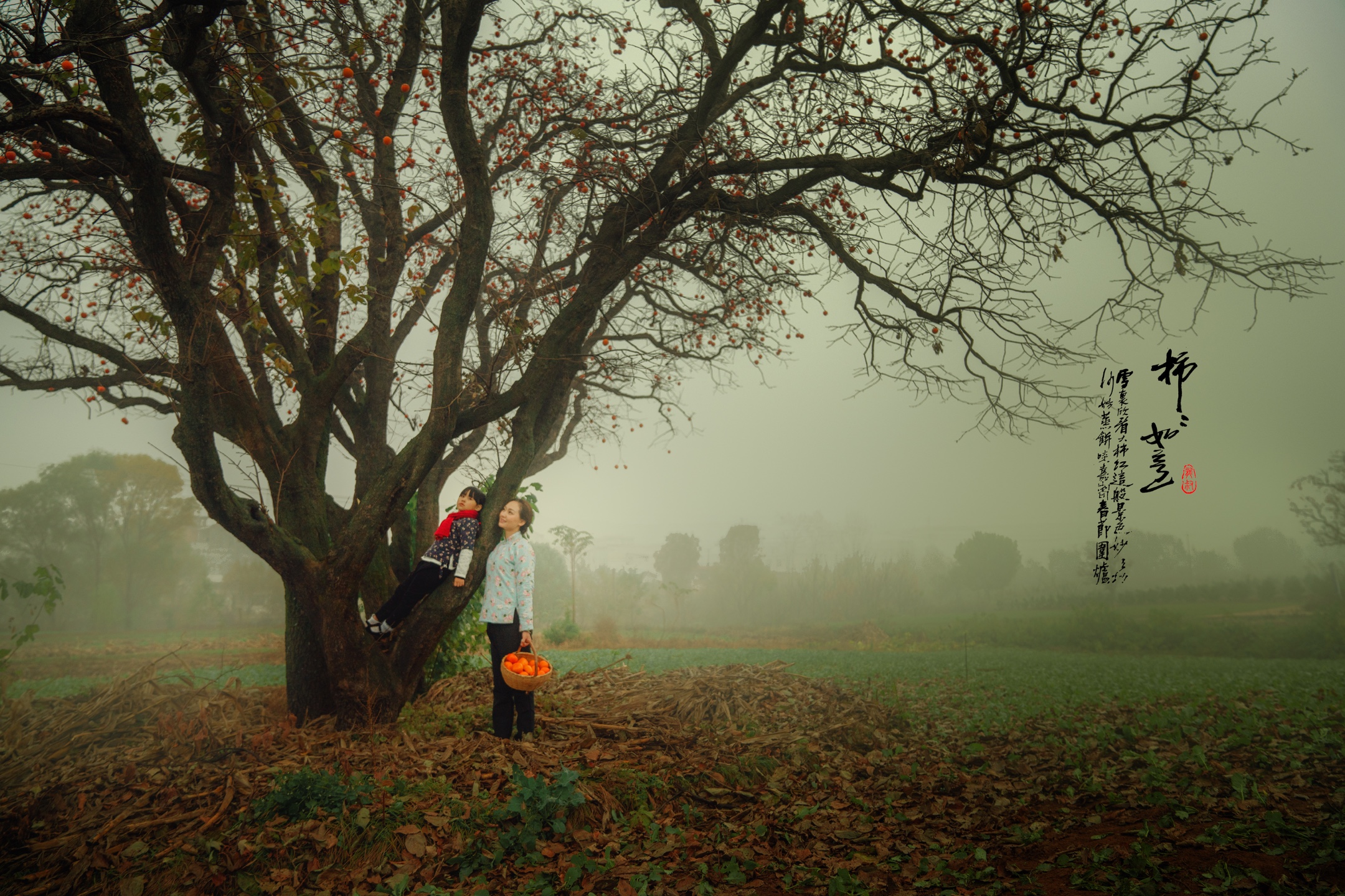 柿子树下