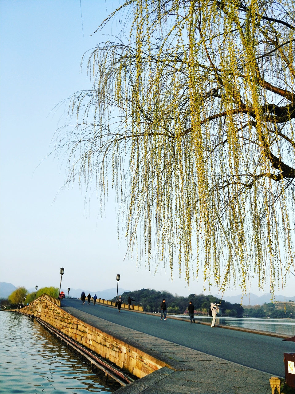 相约白堤,断桥春望